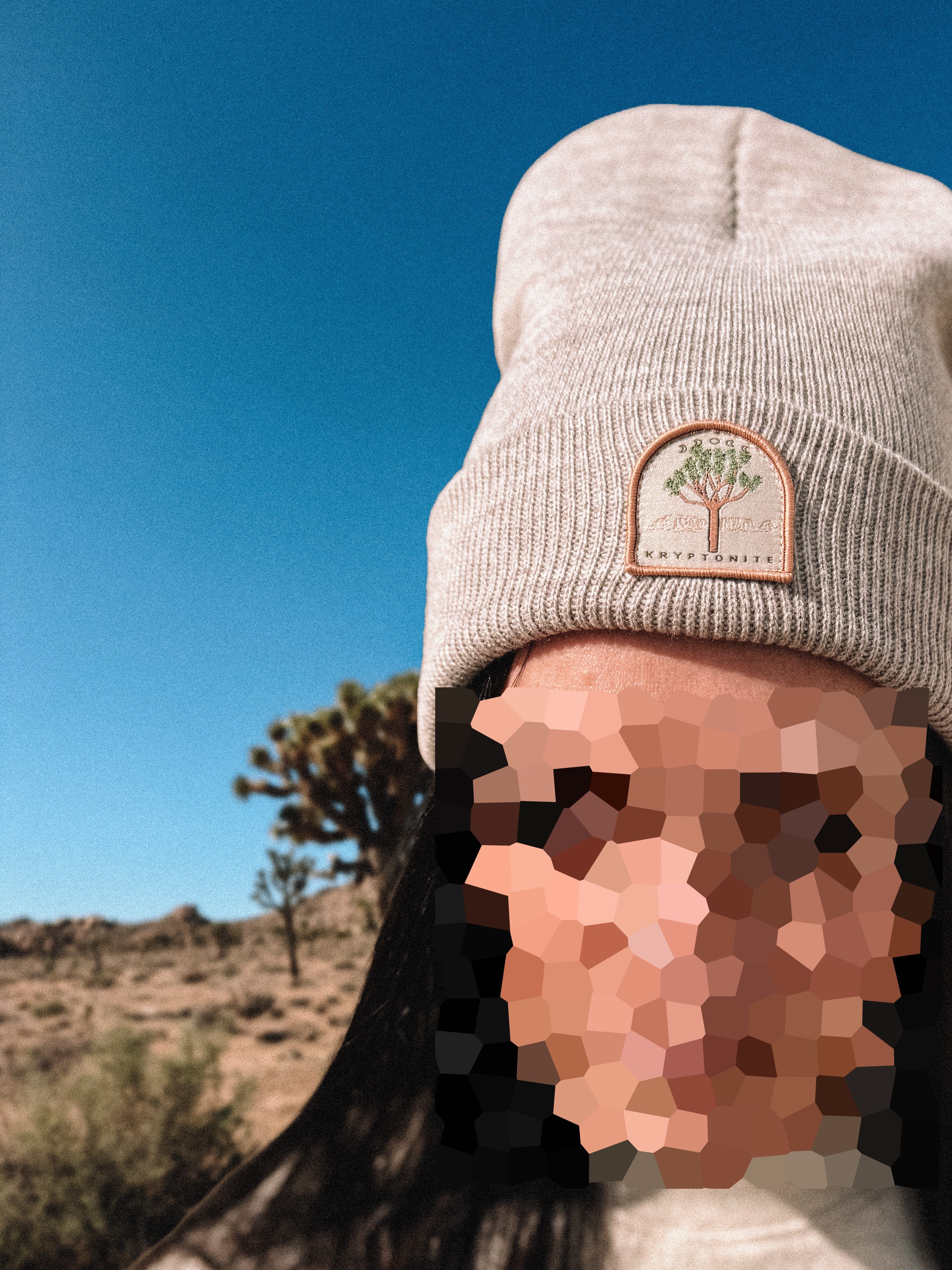 KRYPTONITE Destination: Joshua Tree Patch Beanie available in Joshua Tree at JT Trading Post