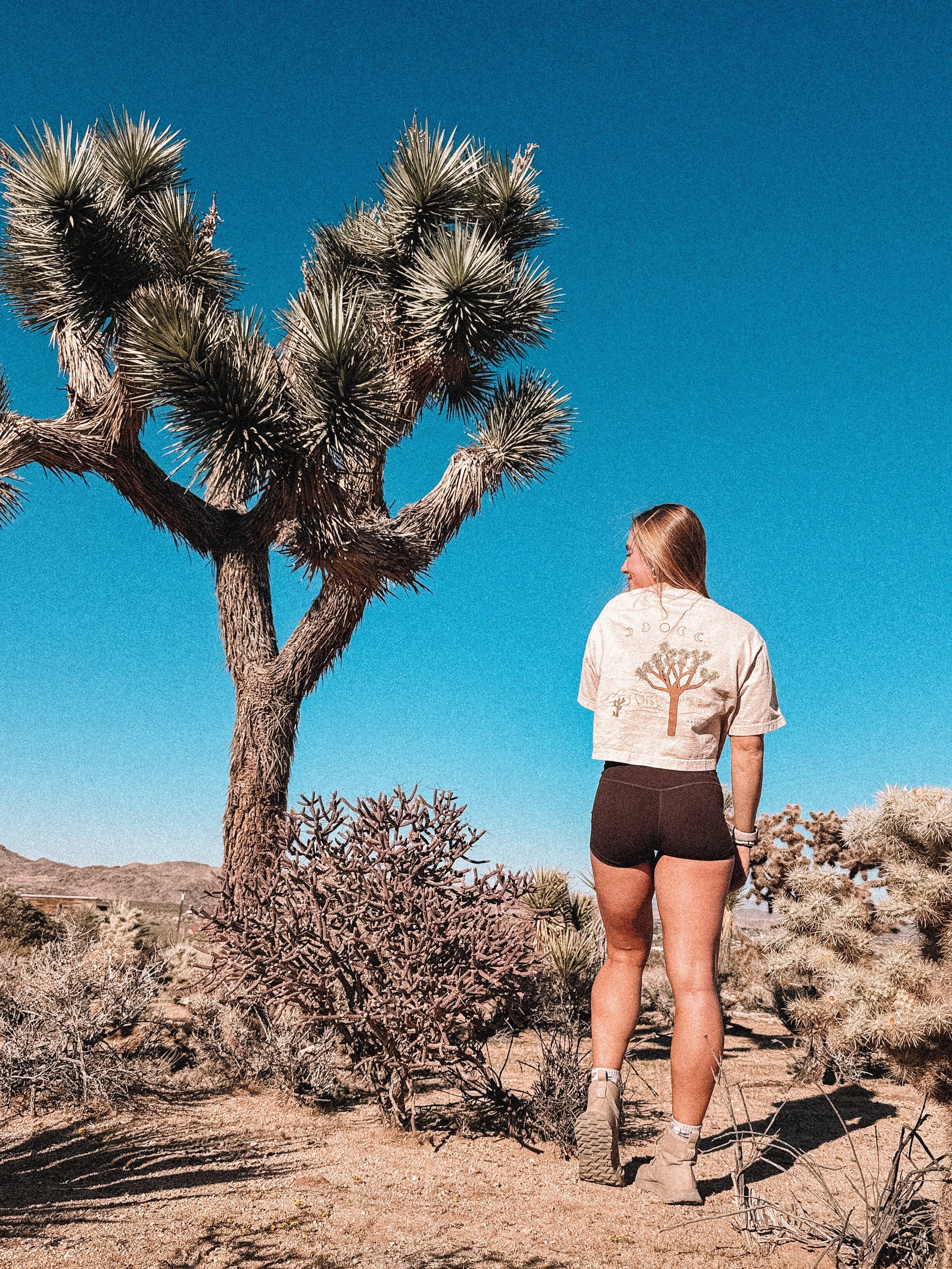 KRYPTONITE Destination: Joshua Tree, CA Crop available in Joshua Tree at JT Trading Post
