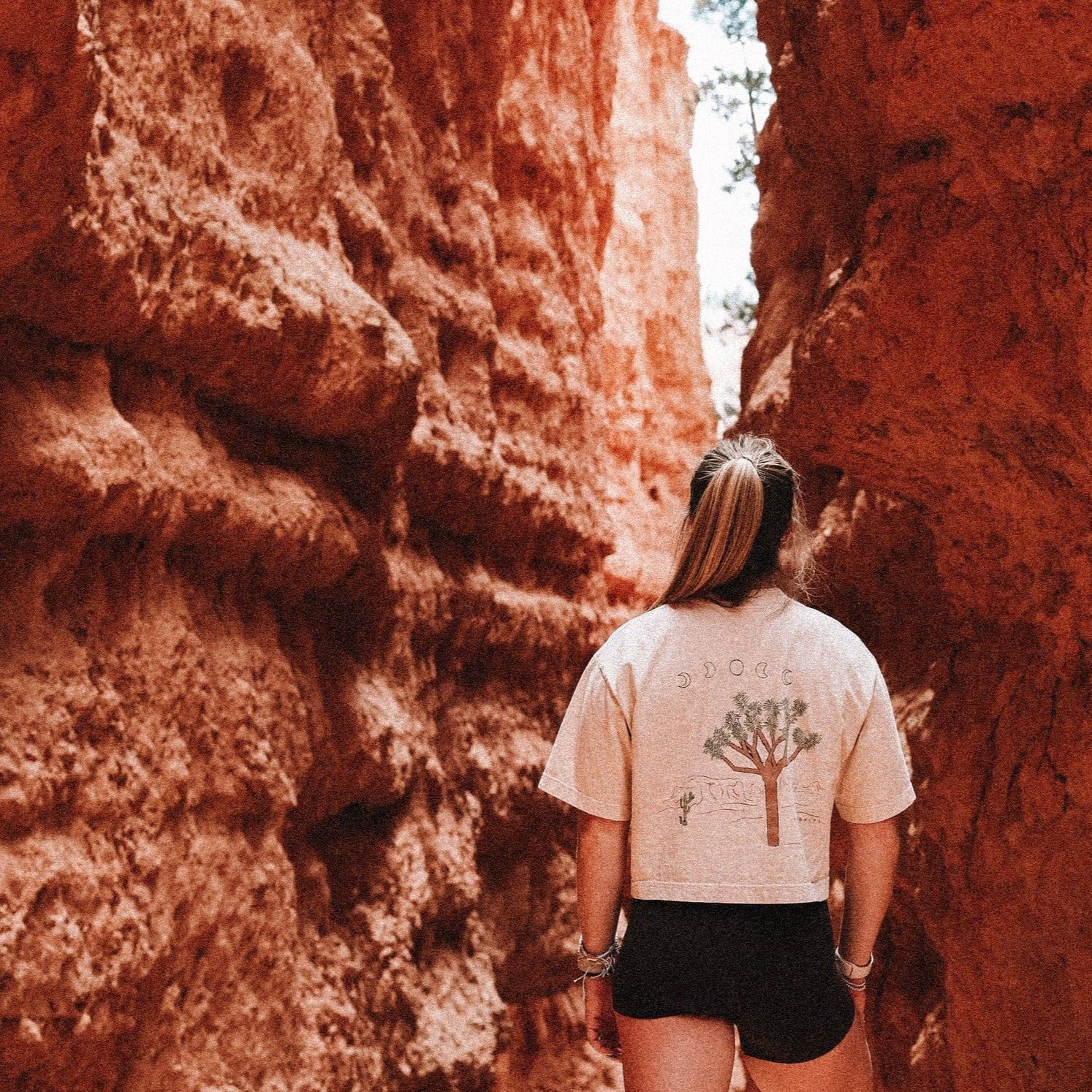 KRYPTONITE Destination: Joshua Tree, CA Crop available in Joshua Tree at JT Trading Post