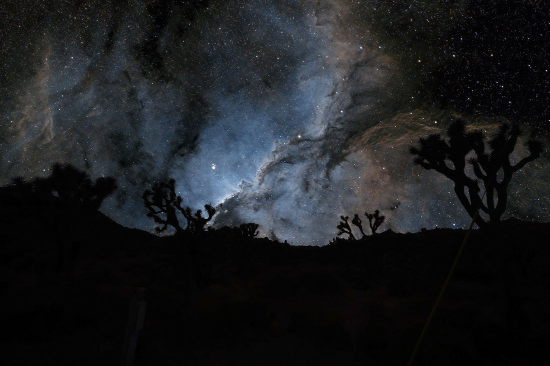 MK Nature Photography Desert Nocturne Wood Pannel available in Joshua Tree at JT Trading Post