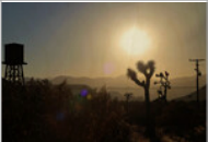 MK Nature Photography Golden Grace Wood Pannel available in Joshua Tree at JT Trading Post