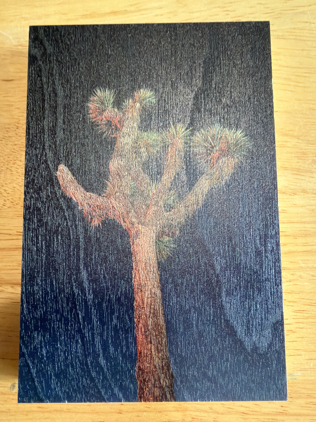 MK Nature Photography Indigo Joshua Wood Pannel available in Joshua Tree at JT Trading Post