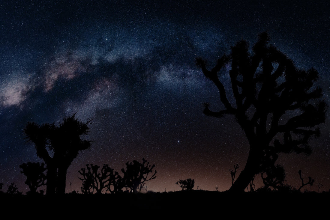 MK Nature Photography Milky Way Wonder Wood Pannel available in Joshua Tree at JT Trading Post
