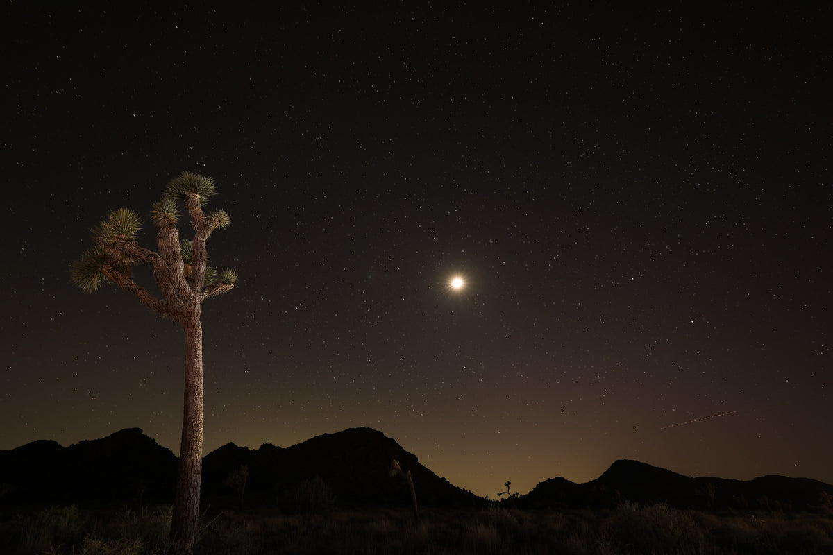 MK Nature Photography Solitary Moon Wood Pannel available in Joshua Tree at JT Trading Post