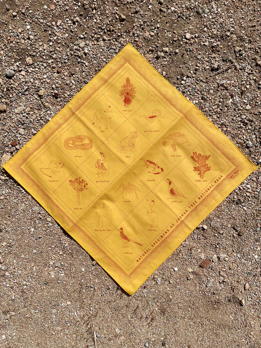 Natural specimens bandana in gold color with red ink showing plants and animals found in Joshua Tree National Park.