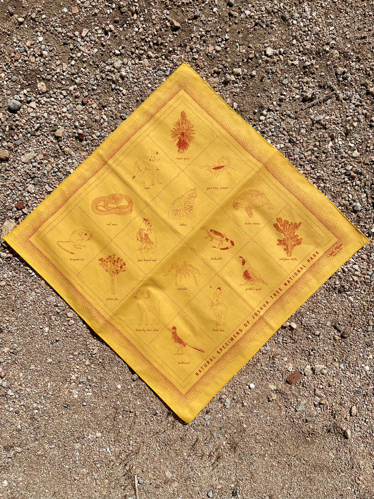 Natural specimens bandana in gold color with red ink showing plants and animals found in Joshua Tree National Park.