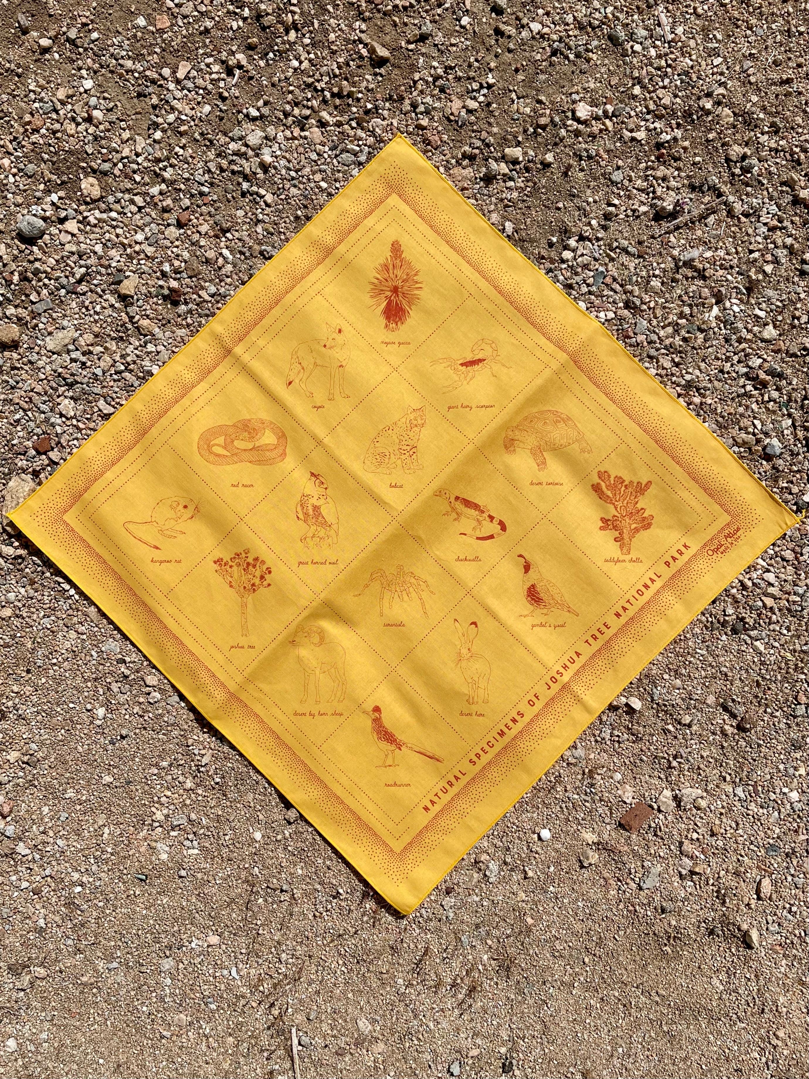 Natural specimens bandana in gold color with red ink showing plants and animals found in Joshua Tree National Park.