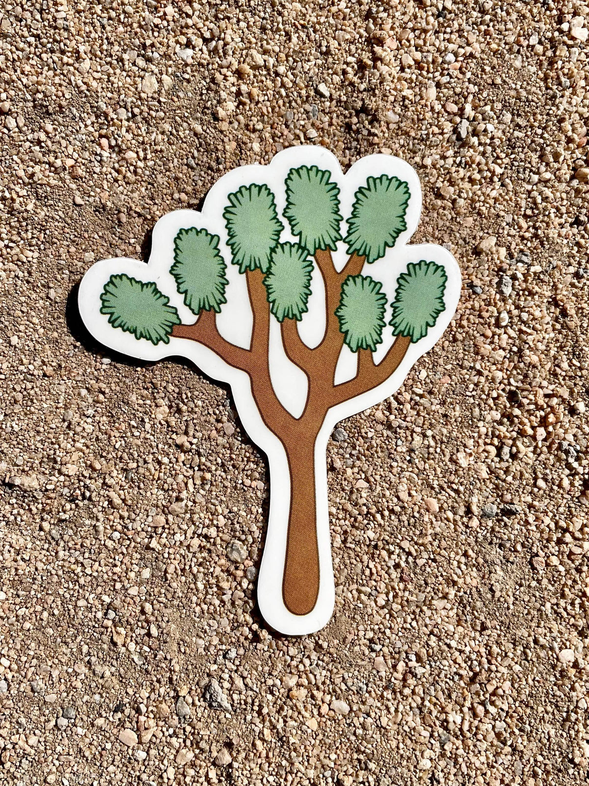A clear vinyl sticker with a silhouette of a Joshua Tree, placed on a sandy surface.