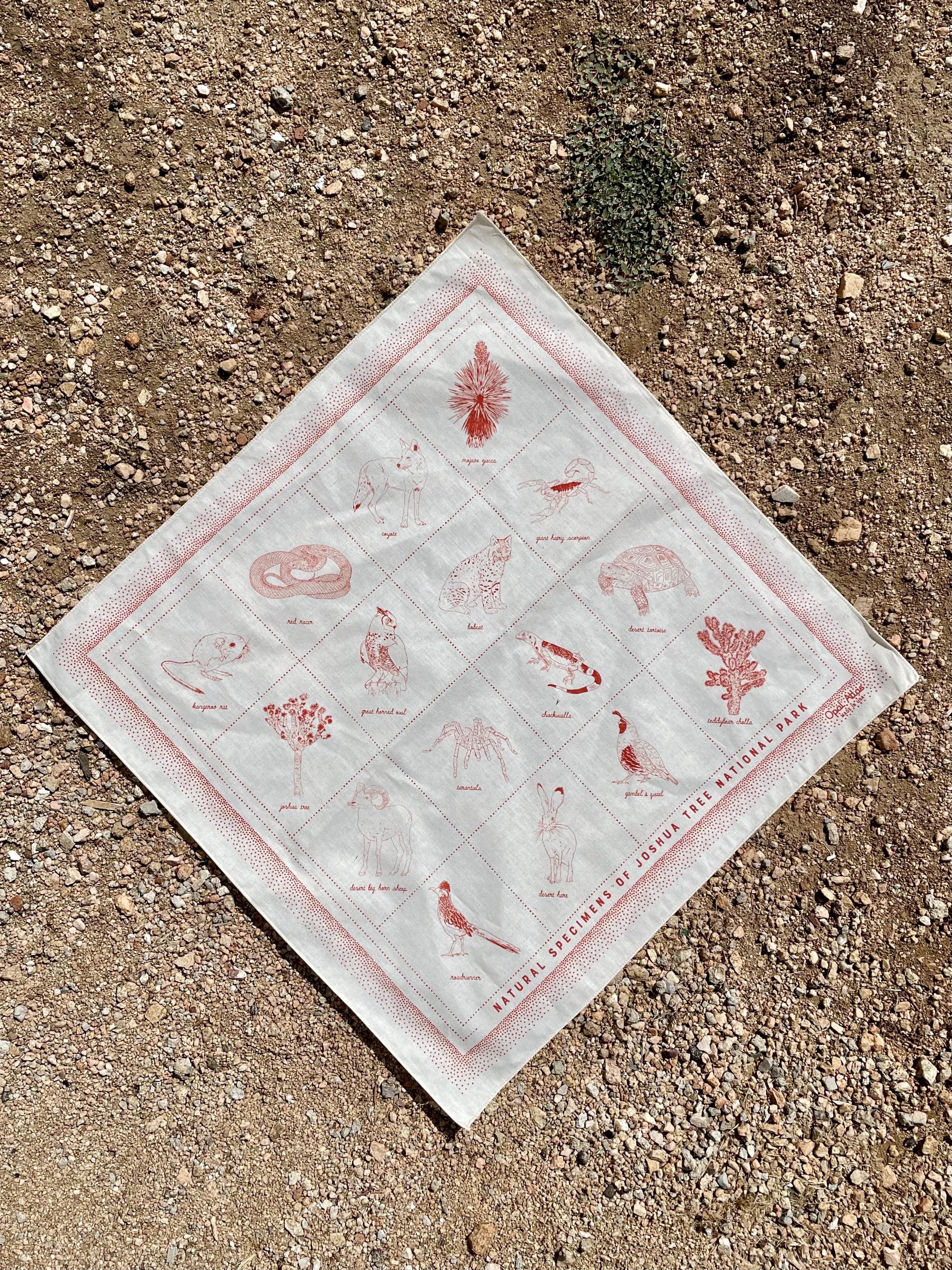 Natural specimens bandana in natural color with red ink showing plants and animals found in Joshua Tree National Park.