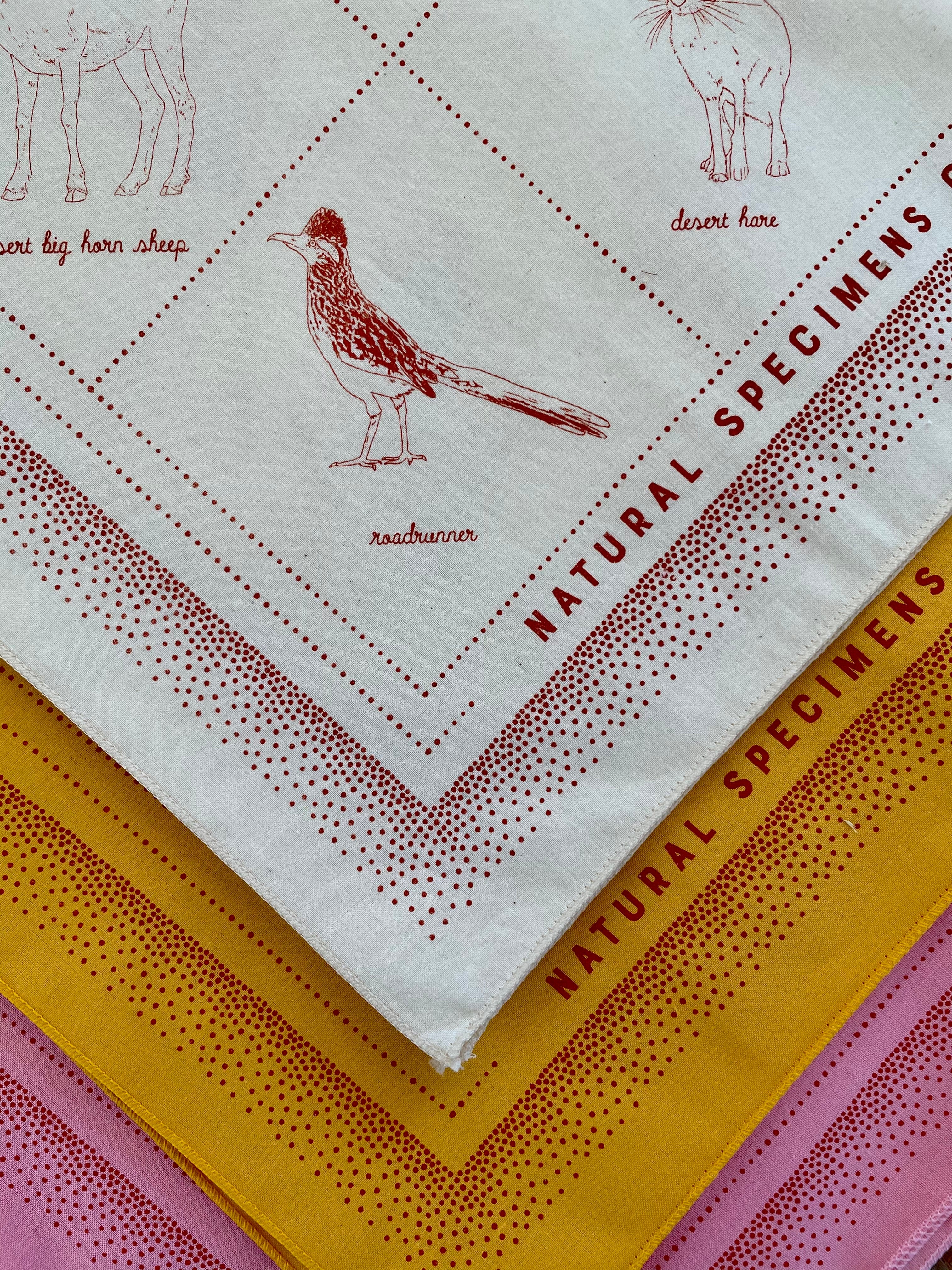 Detail of natural specimens bandana, showing the roadrunner in red ink on natural colored bandana with gold and pink versions underneath.