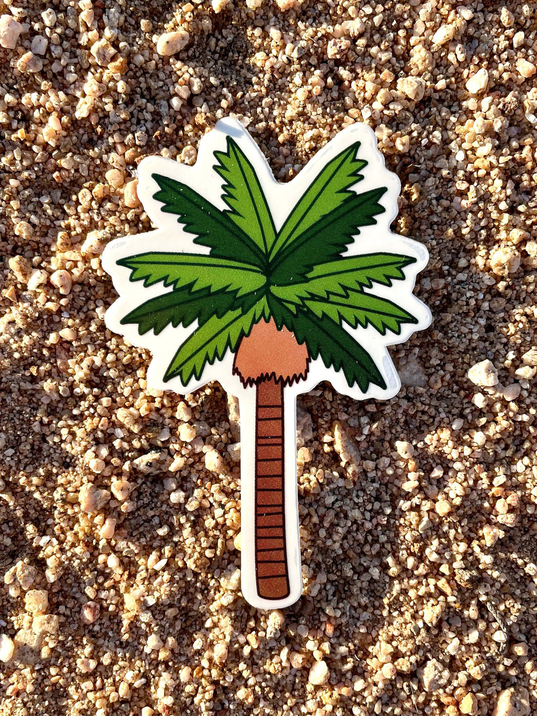 A clear vinyl sticker with a green and brown palm tree design placed on a sandy surface.
