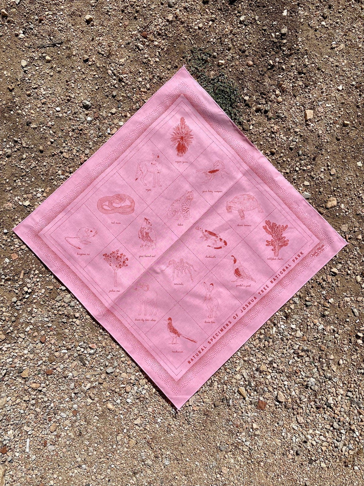 Natural specimens bandana in pink color with red ink showing plants and animals found in Joshua Tree National Park.
