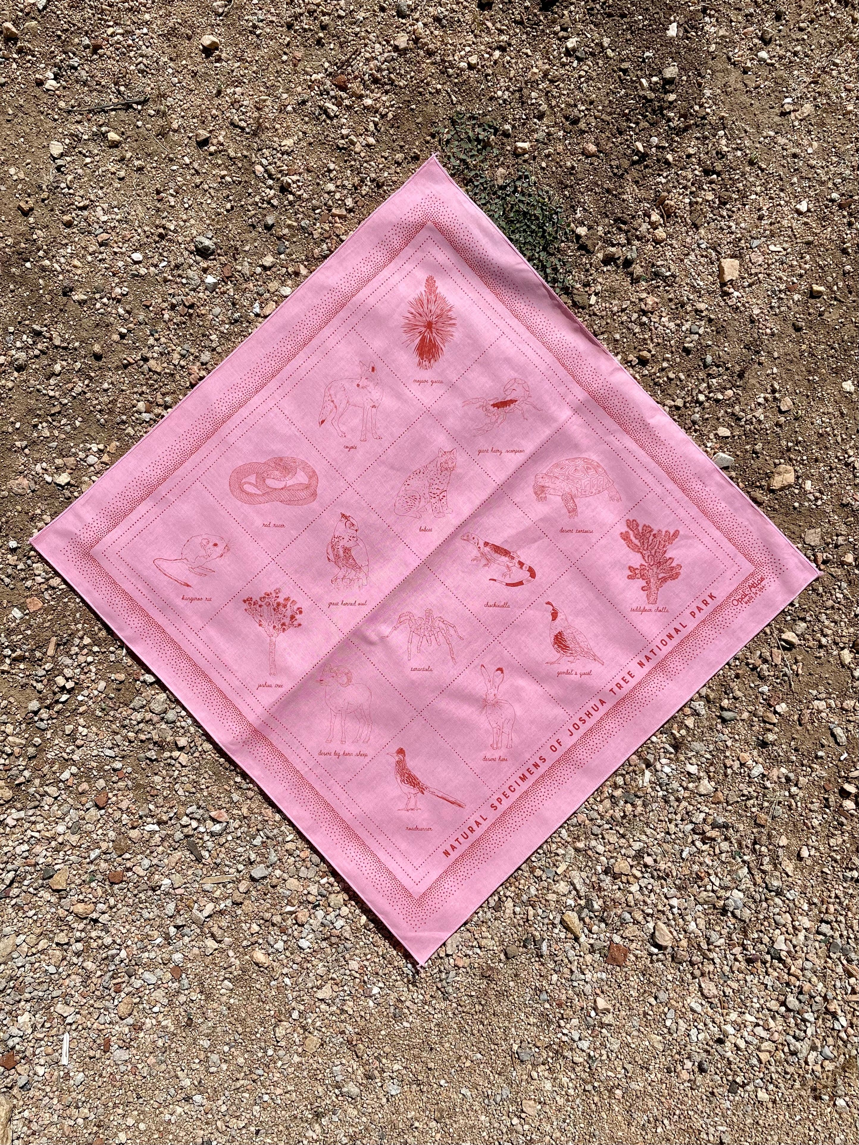 Natural specimens bandana in pink color with red ink showing plants and animals found in Joshua Tree National Park.