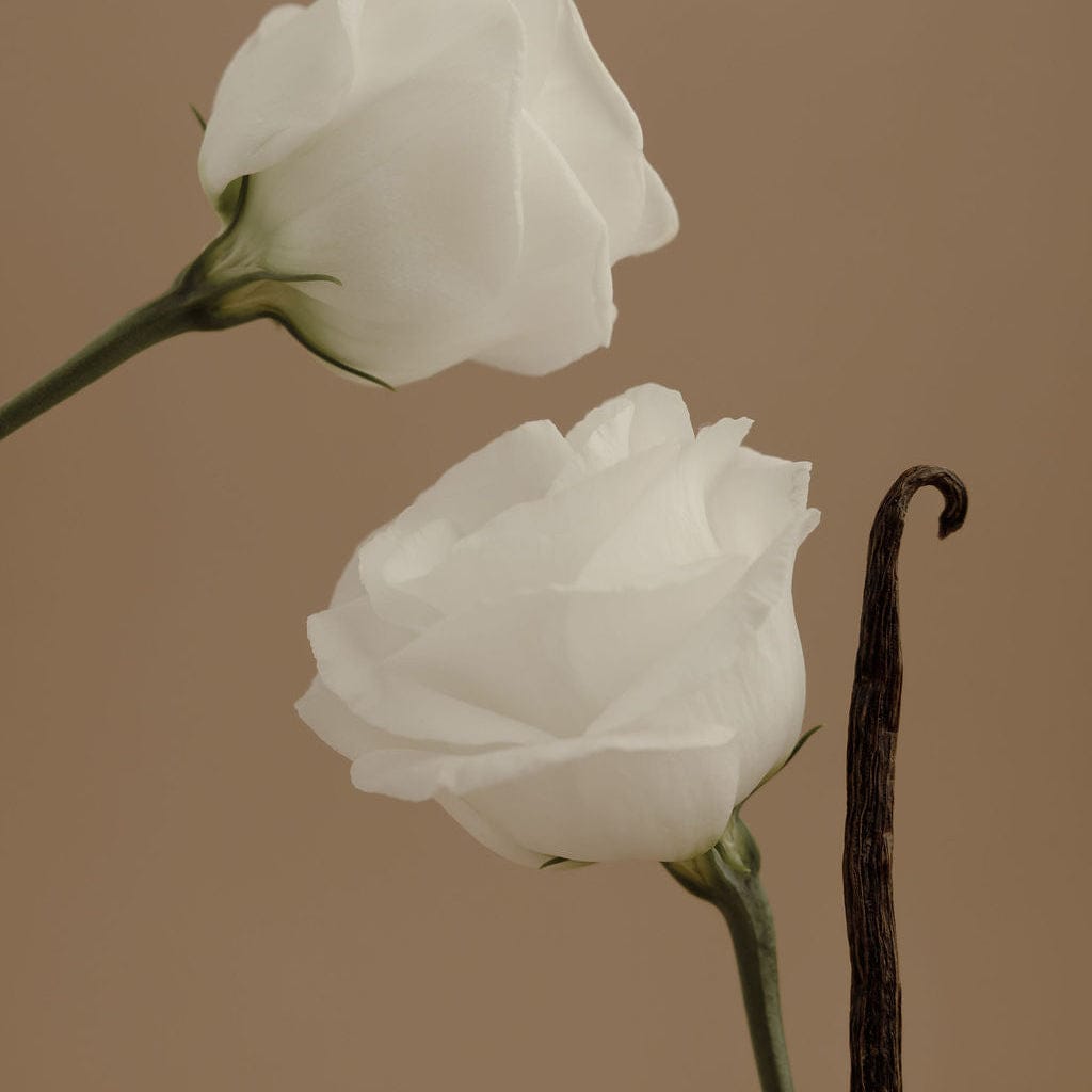 Orchid + Ash AURA Perfume Travel Spray available in Joshua Tree at JT Trading Post
