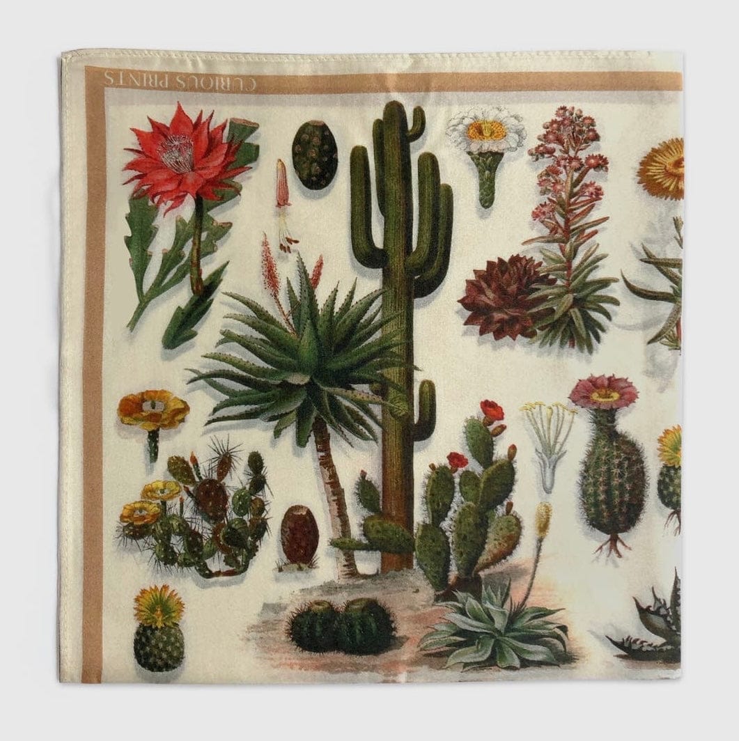 Rancho Relaxo Cactus Bandana Silk Scarf available in Joshua Tree at JT Trading Post