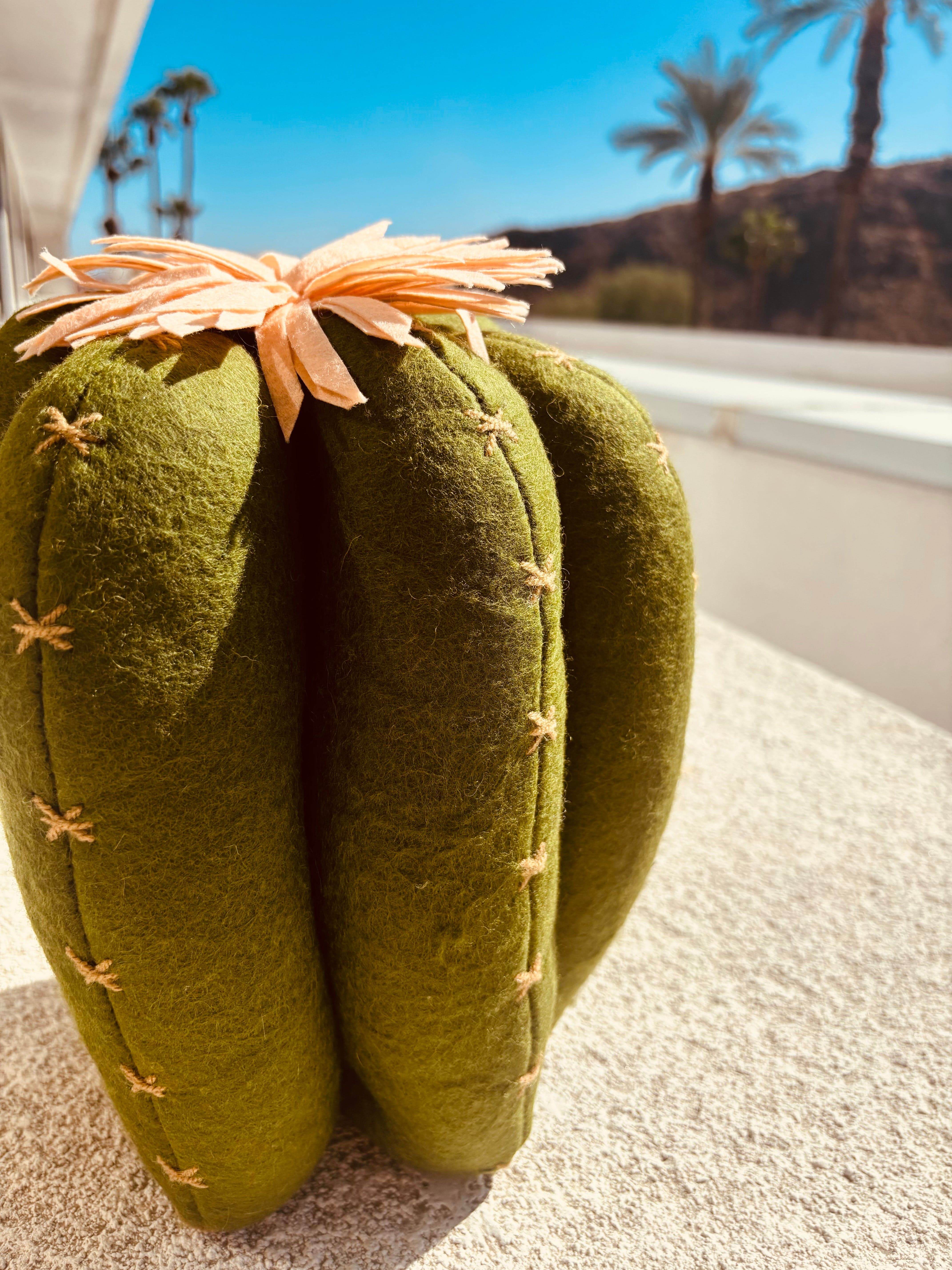 Rancho Relaxo Stuffed Cactus Pillow available in Joshua Tree at JT Trading Post