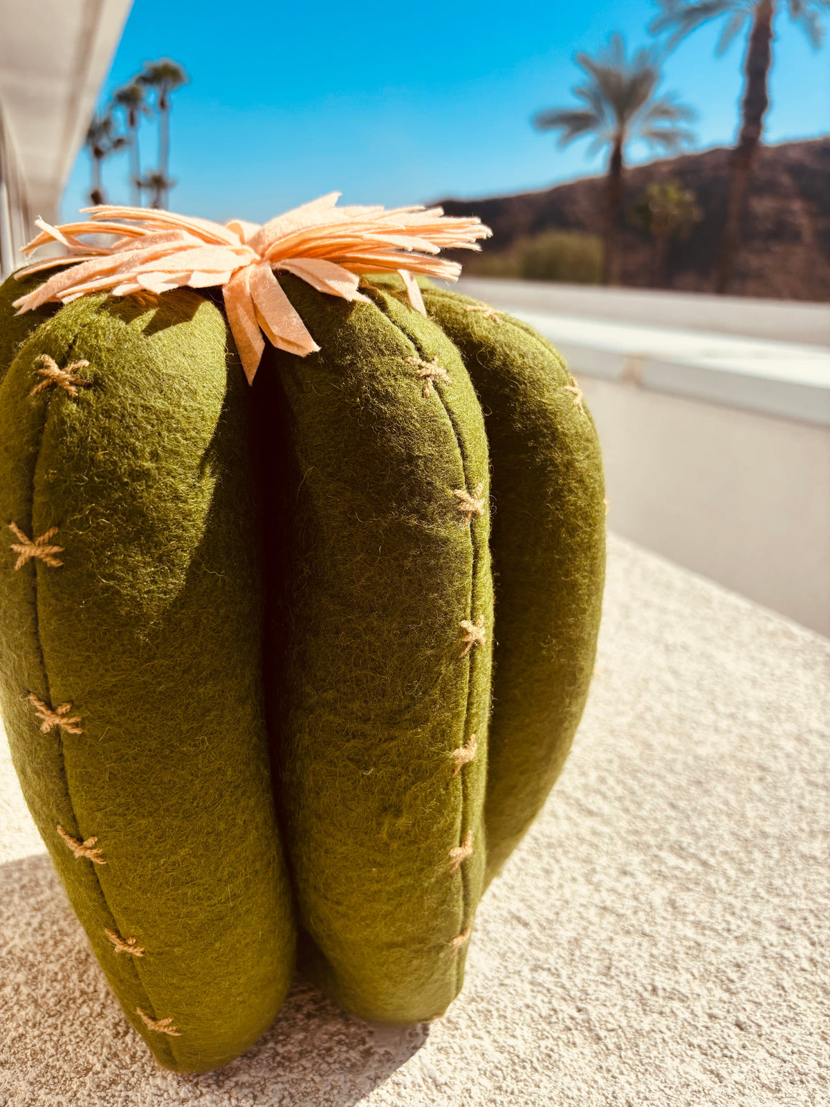 Rancho Relaxo Stuffed Cactus Pillow available in Joshua Tree at JT Trading Post