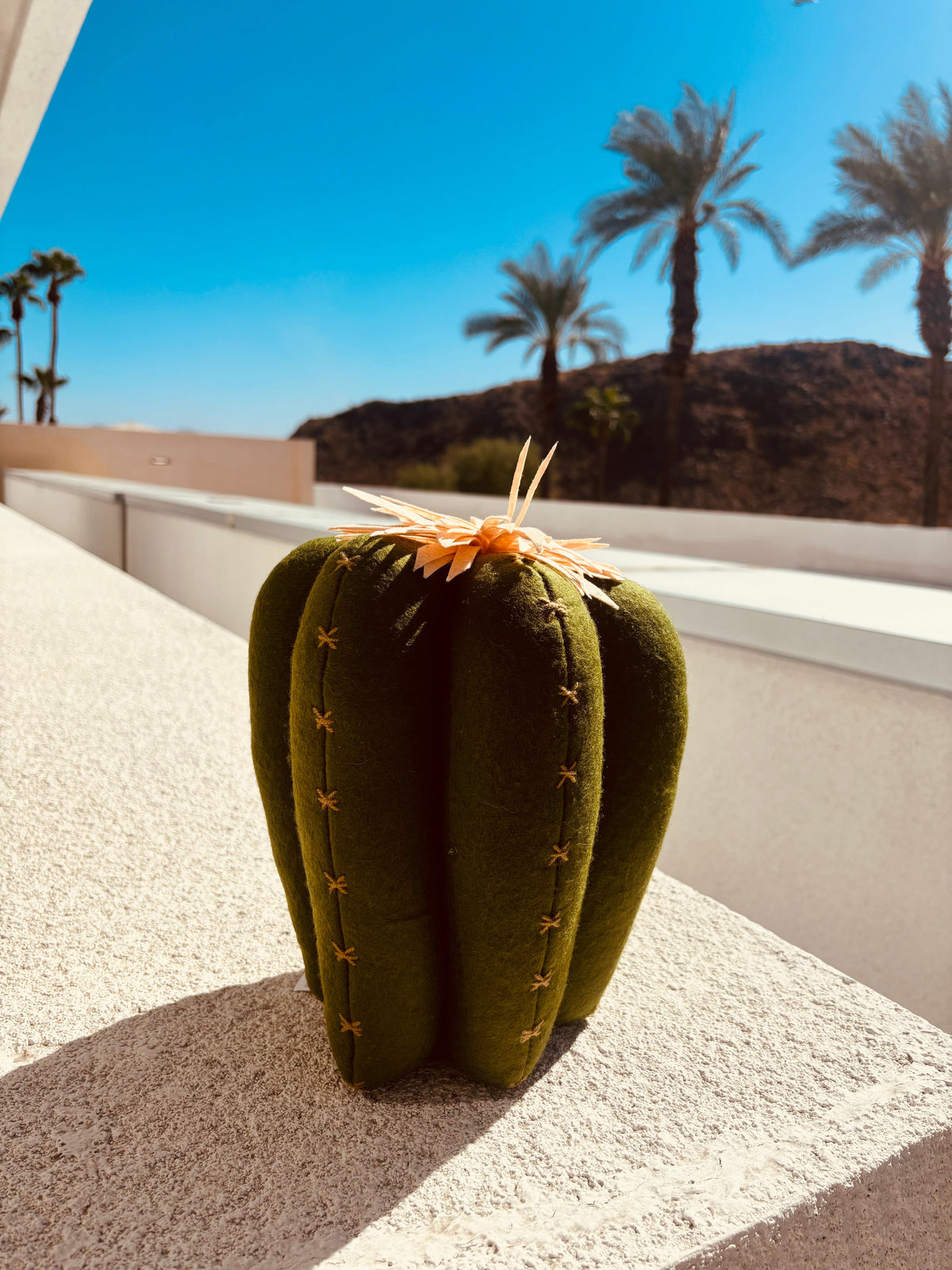 Rancho Relaxo Stuffed Cactus Pillow available in Joshua Tree at JT Trading Post