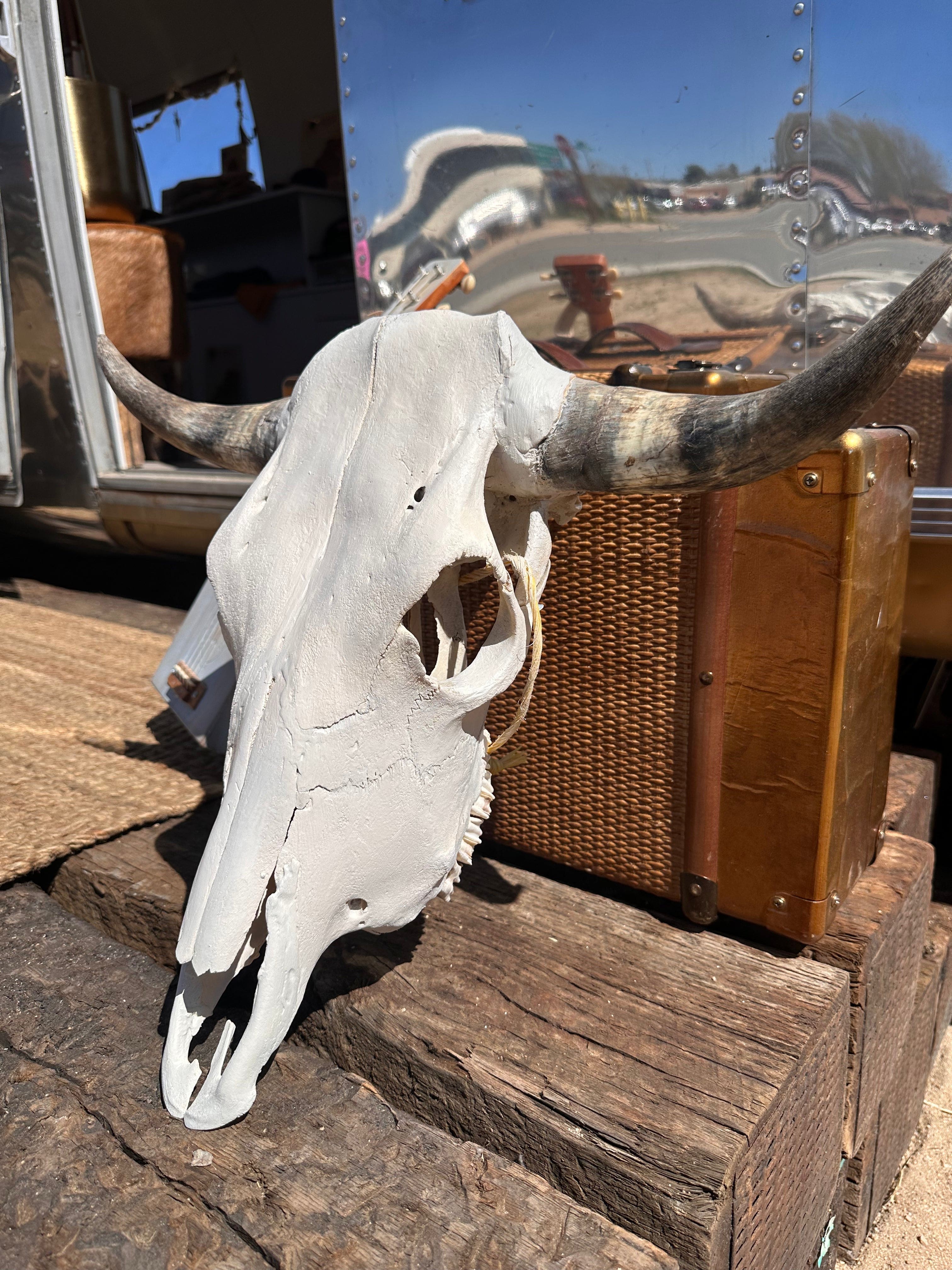 Roaming Travelers Authentic Bullhead | Cow Skull available in Joshua Tree at JT Trading Post