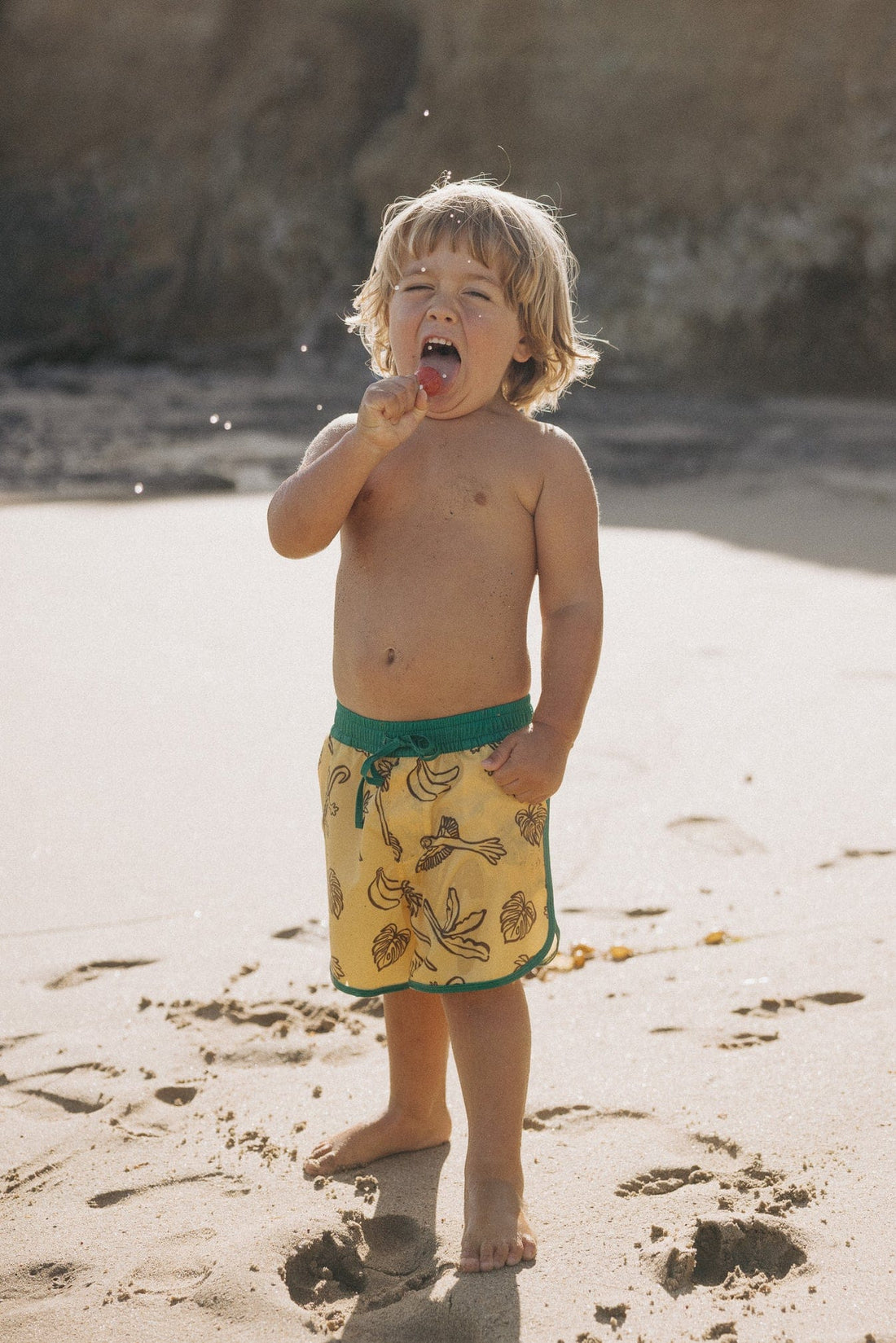 Roaming Travelers Banana Bay Boardies available in Joshua Tree at JT Trading Post