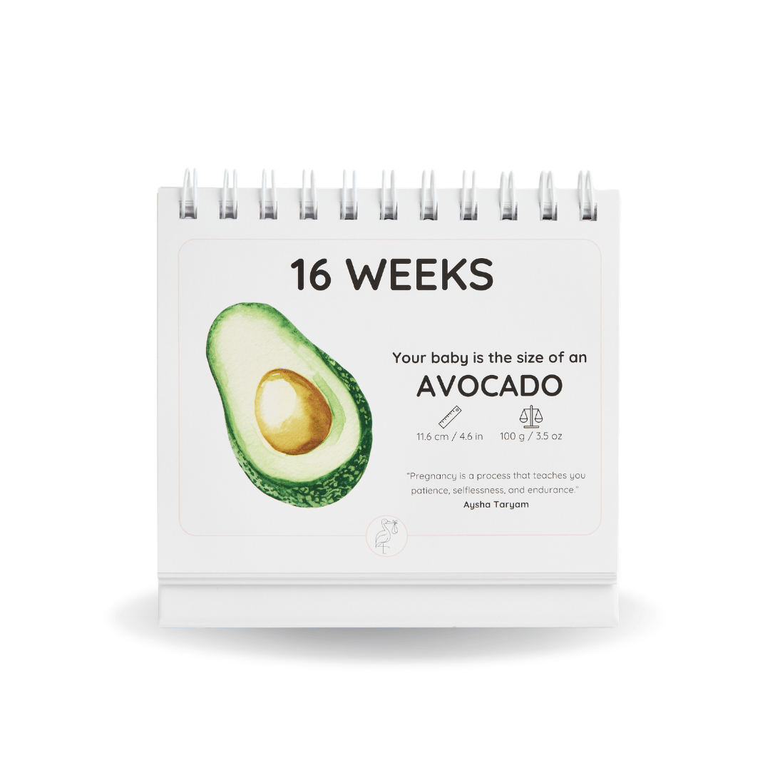 Roaming Travelers The Growing Miracle Pregnancy Calendar available in Joshua Tree at JT Trading Post