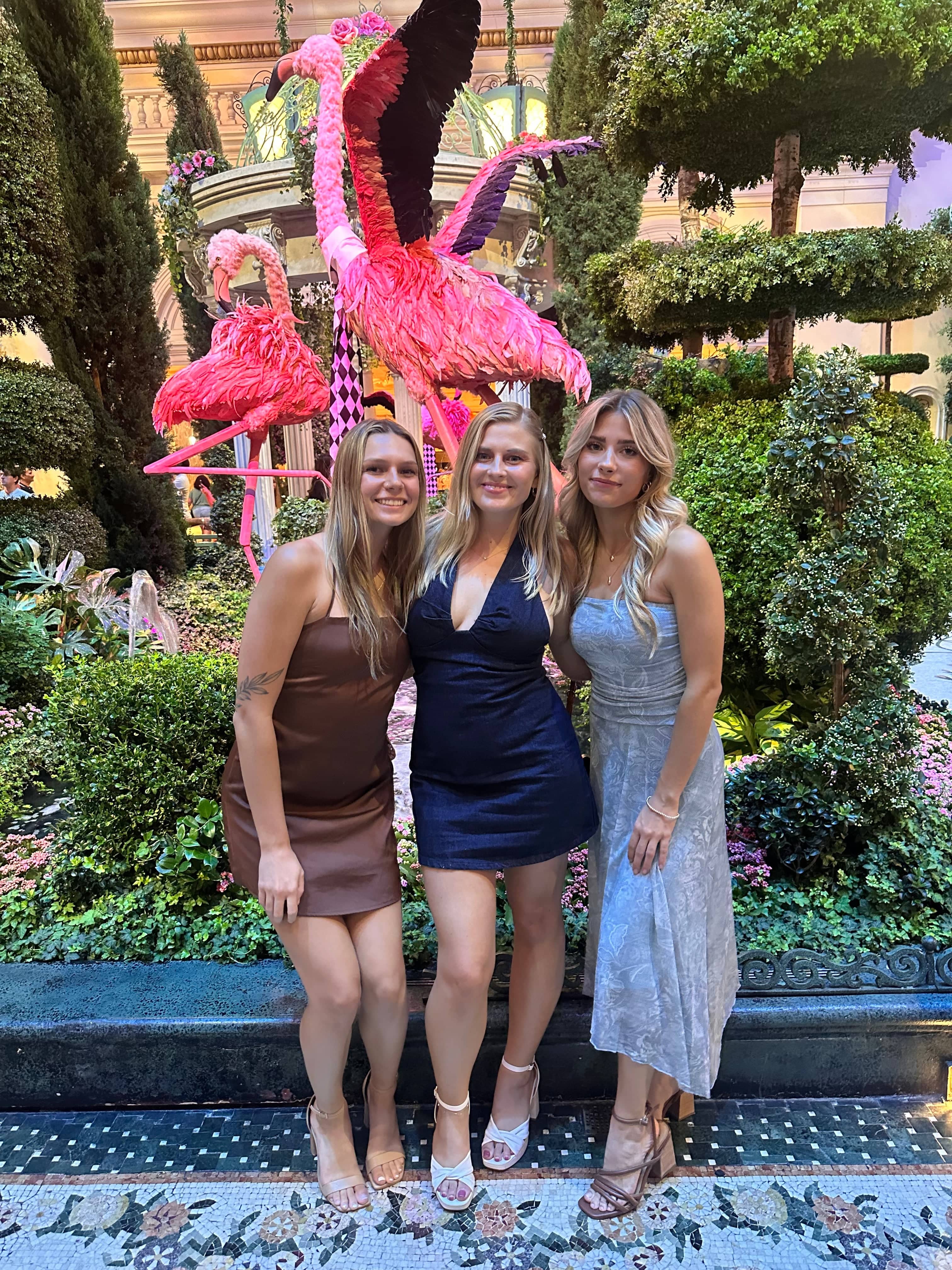 Roaming Travelers Trevi Denim Mini Dress available in Joshua Tree at JT Trading Post