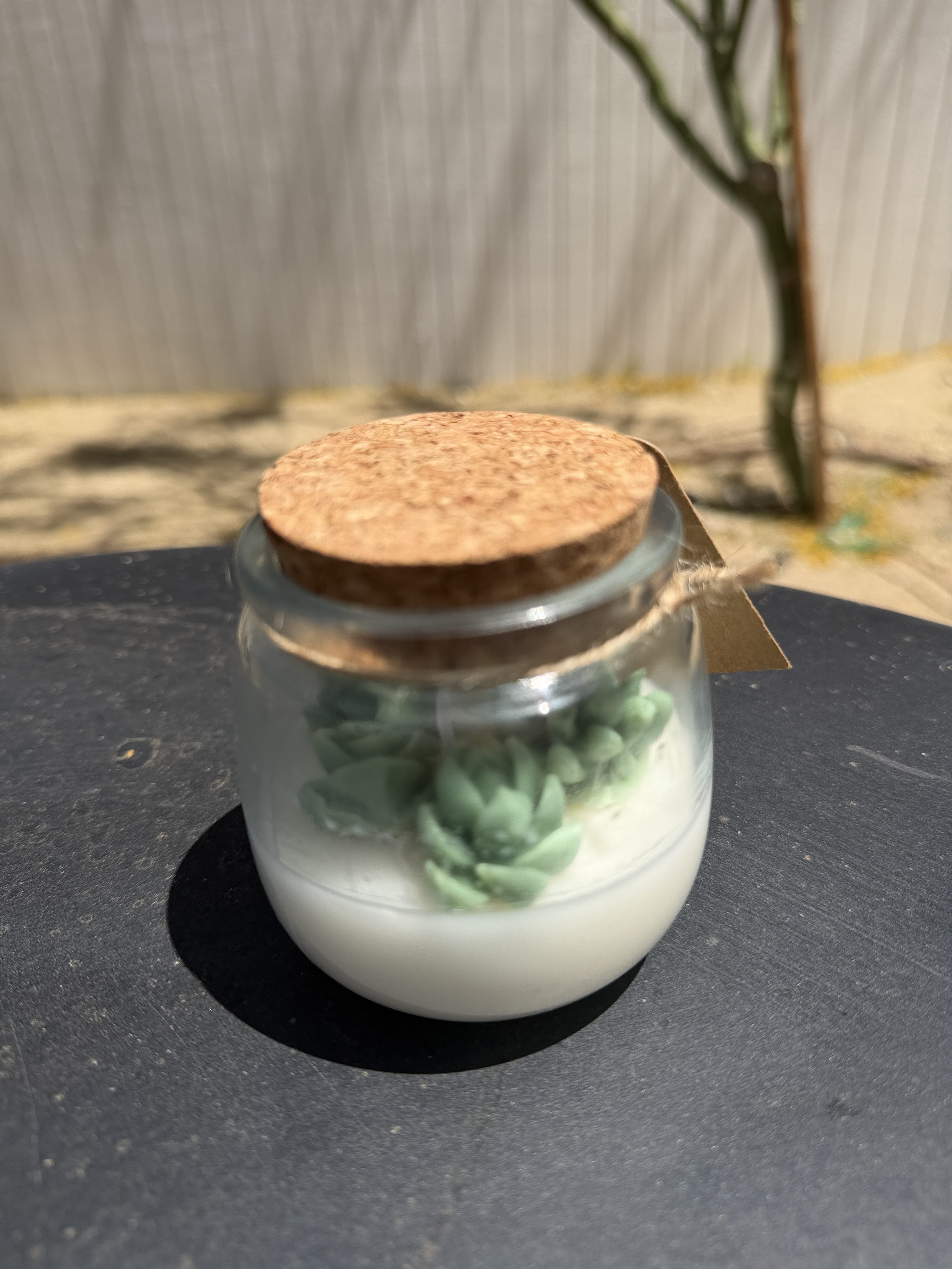 Ryan Dobbins Cactus Garden Hand Poured Candle available in Joshua Tree at JT Trading Post