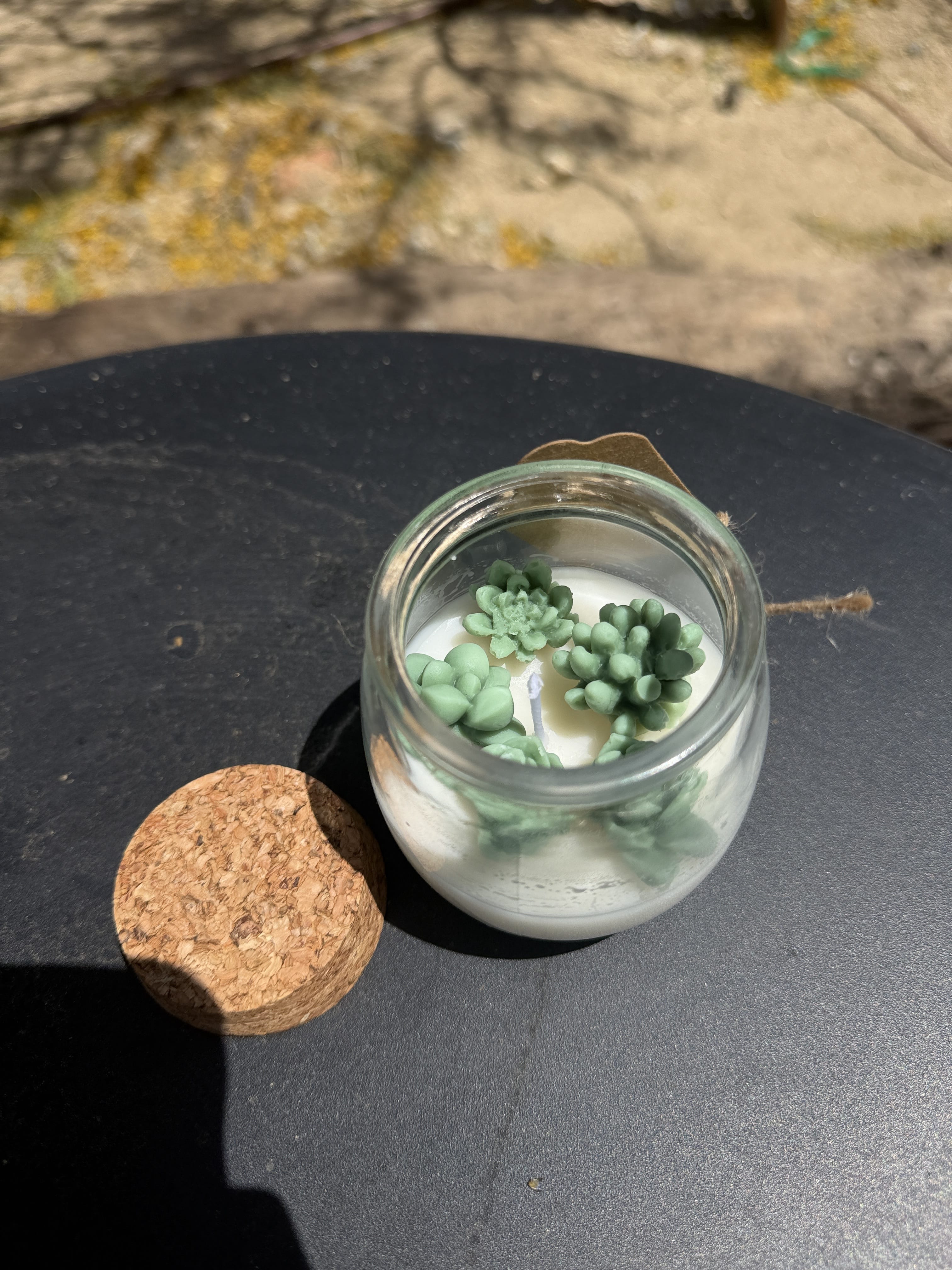 Ryan Dobbins Cactus Garden Hand Poured Candle available in Joshua Tree at JT Trading Post