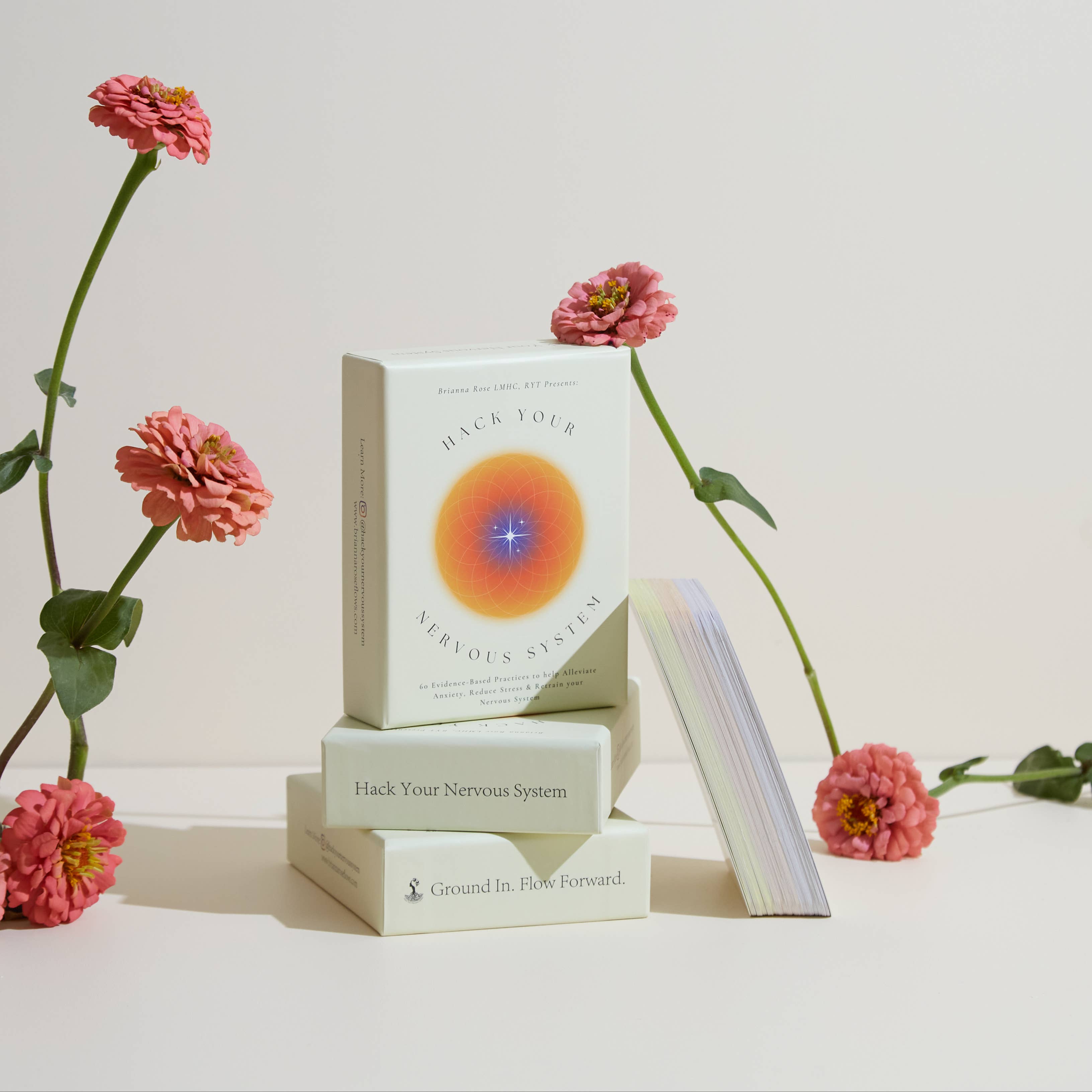 The Nomadic People Hack Your Nervous System Card Deck available in Joshua Tree at JT Trading Post