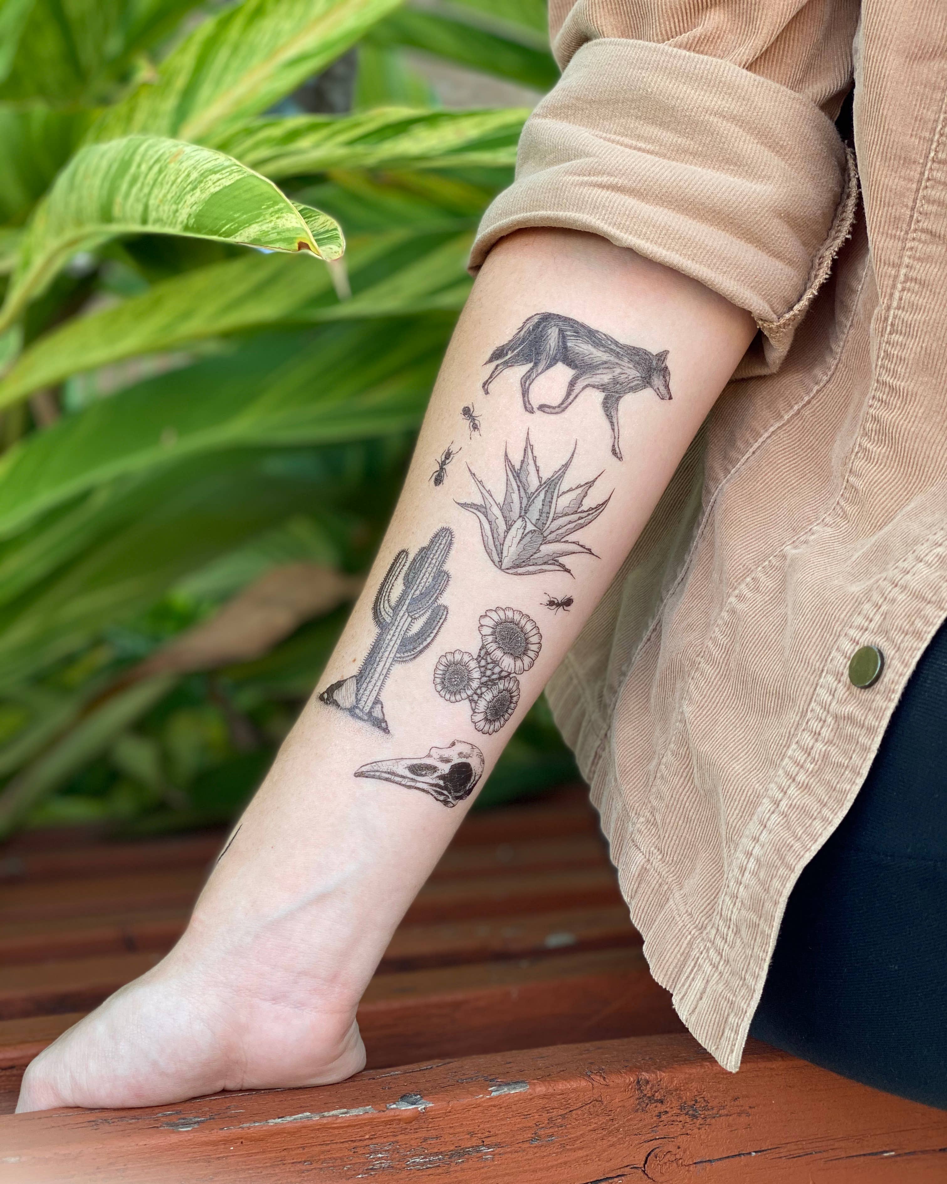The Plant Social Desert Wild Temporary Tattoo available in Joshua Tree at JT Trading Post