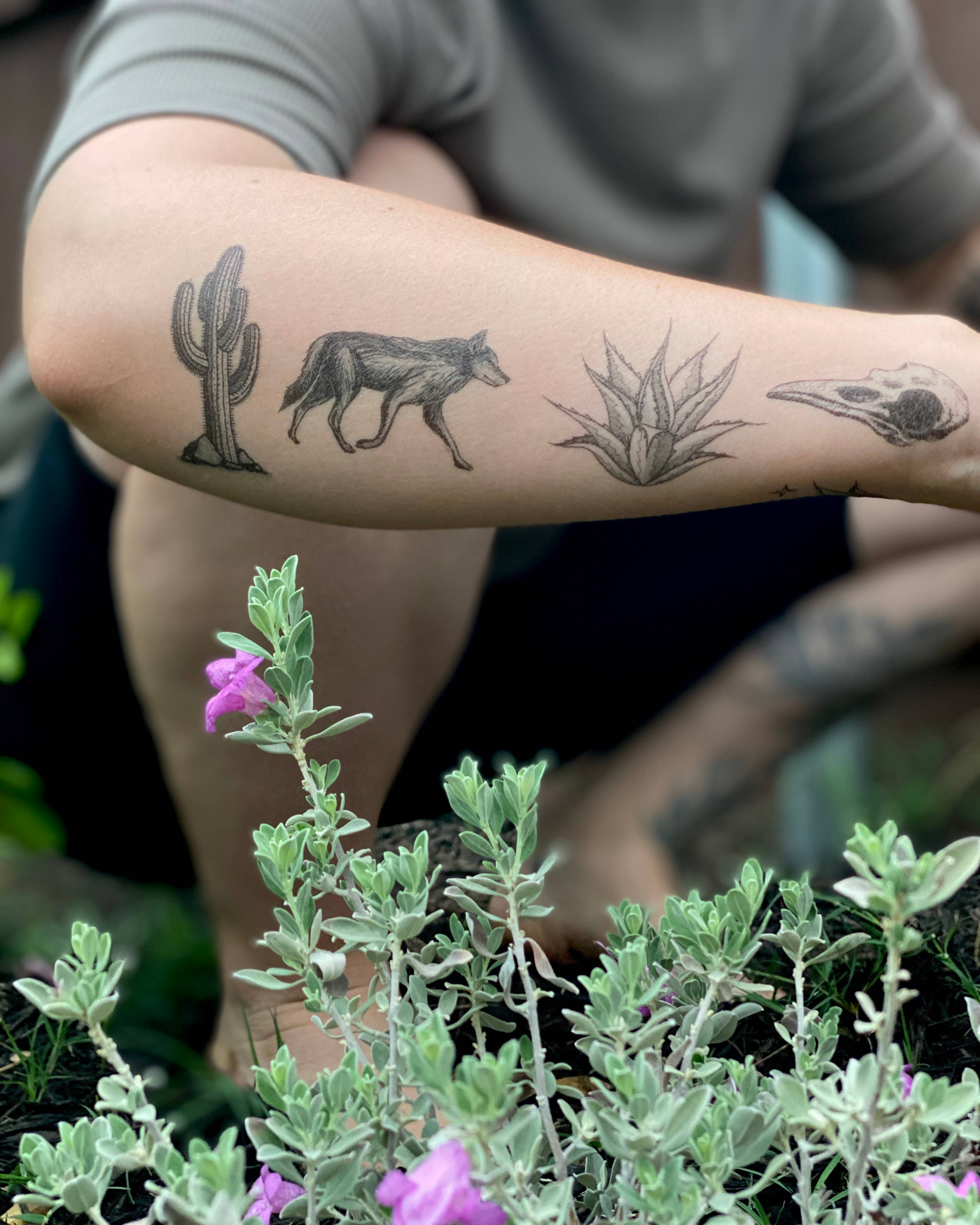 The Plant Social Desert Wild Temporary Tattoo available in Joshua Tree at JT Trading Post