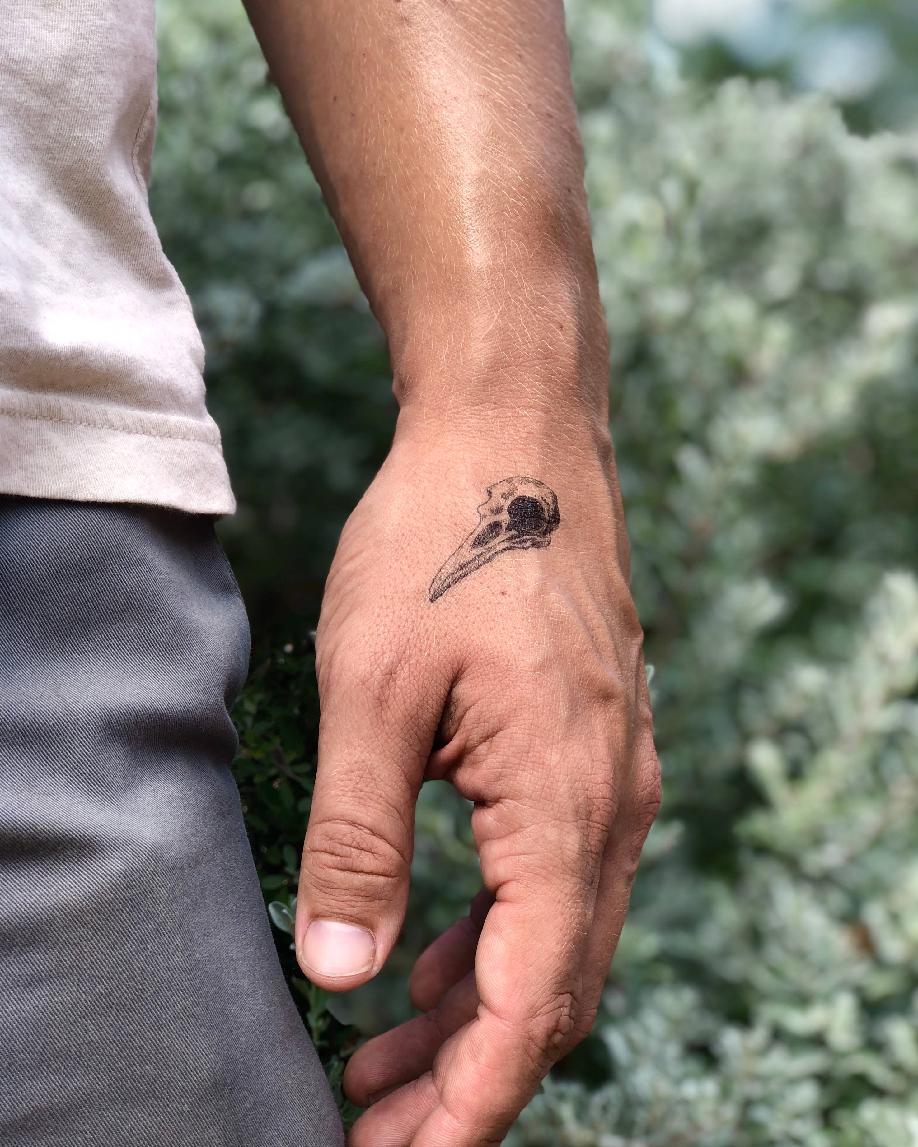 The Plant Social Desert Wild Temporary Tattoo available in Joshua Tree at JT Trading Post