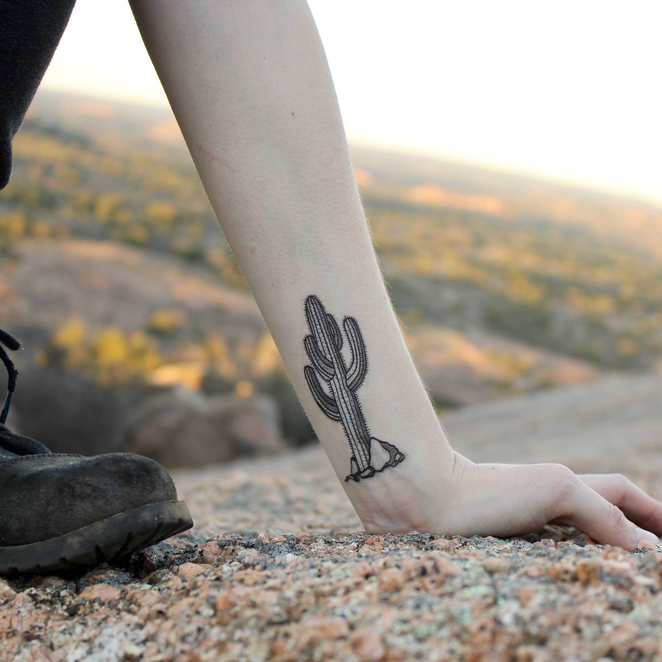 The Plant Social Desert Wild Temporary Tattoo available in Joshua Tree at JT Trading Post