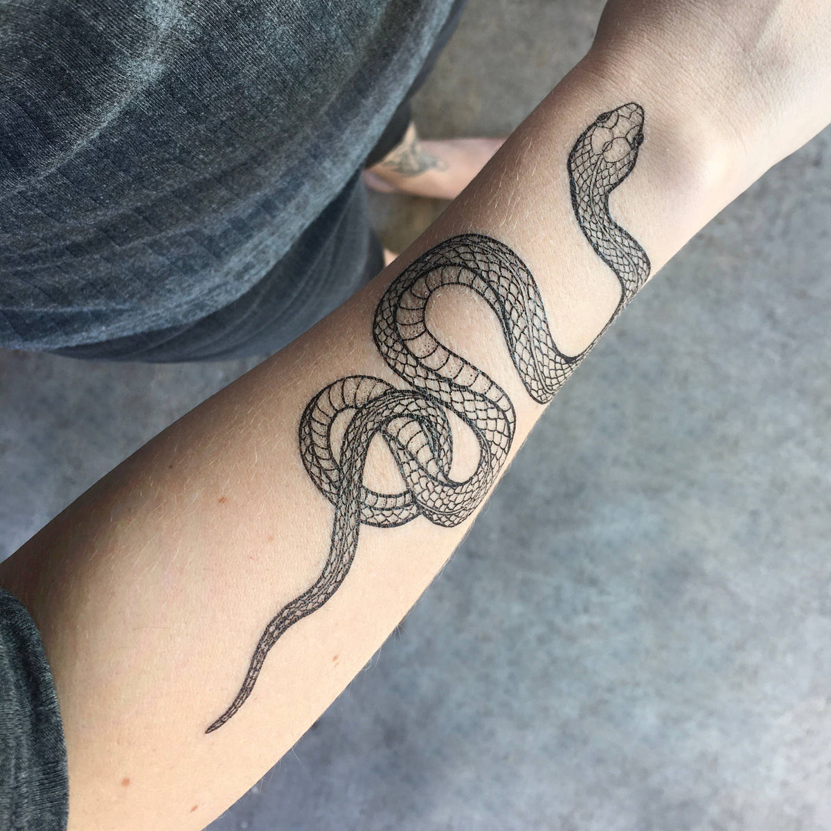 The Plant Social Garden Snake Temporary Tattoo available in Joshua Tree at JT Trading Post