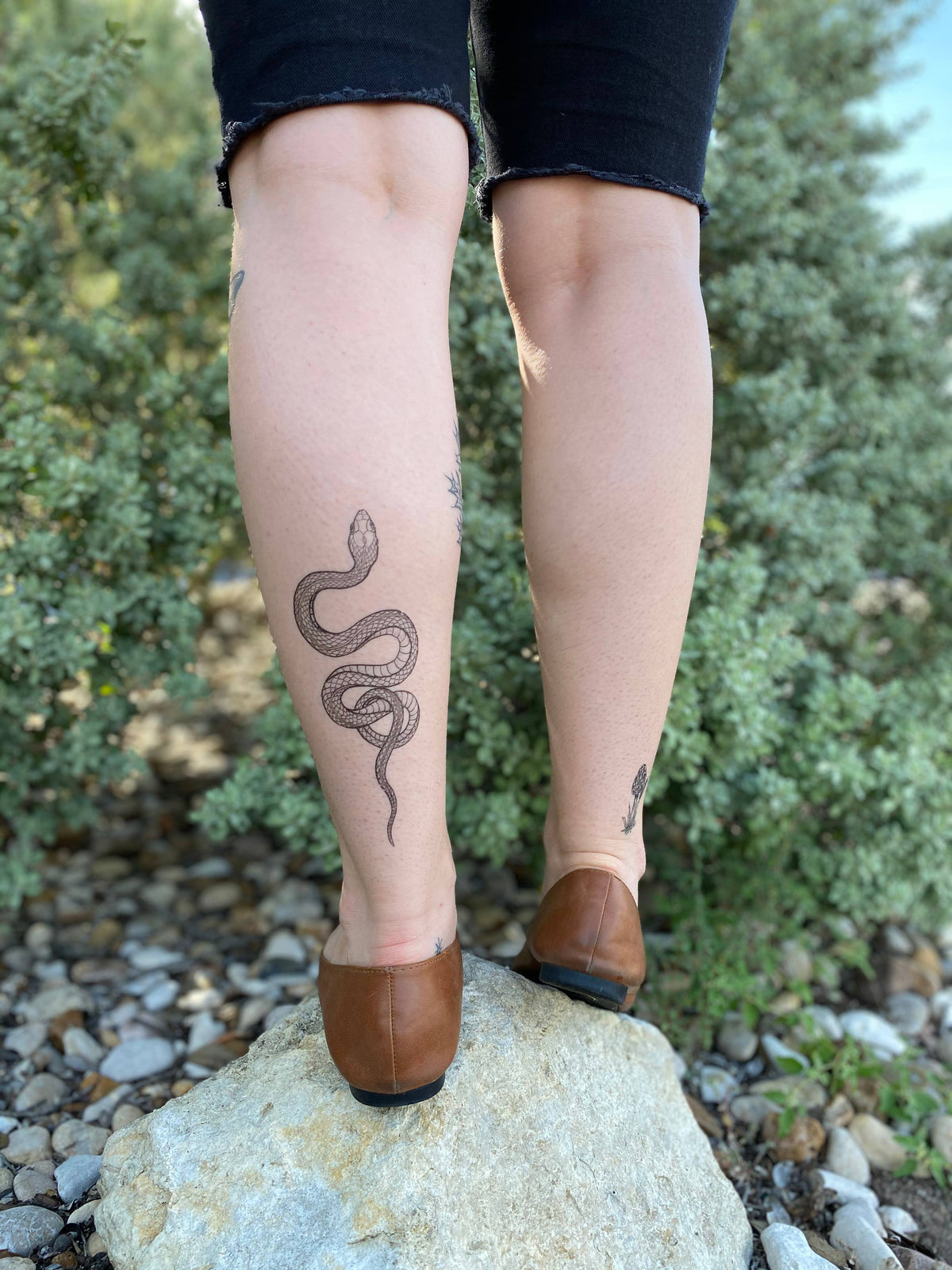 The Plant Social Garden Snake Temporary Tattoo available in Joshua Tree at JT Trading Post