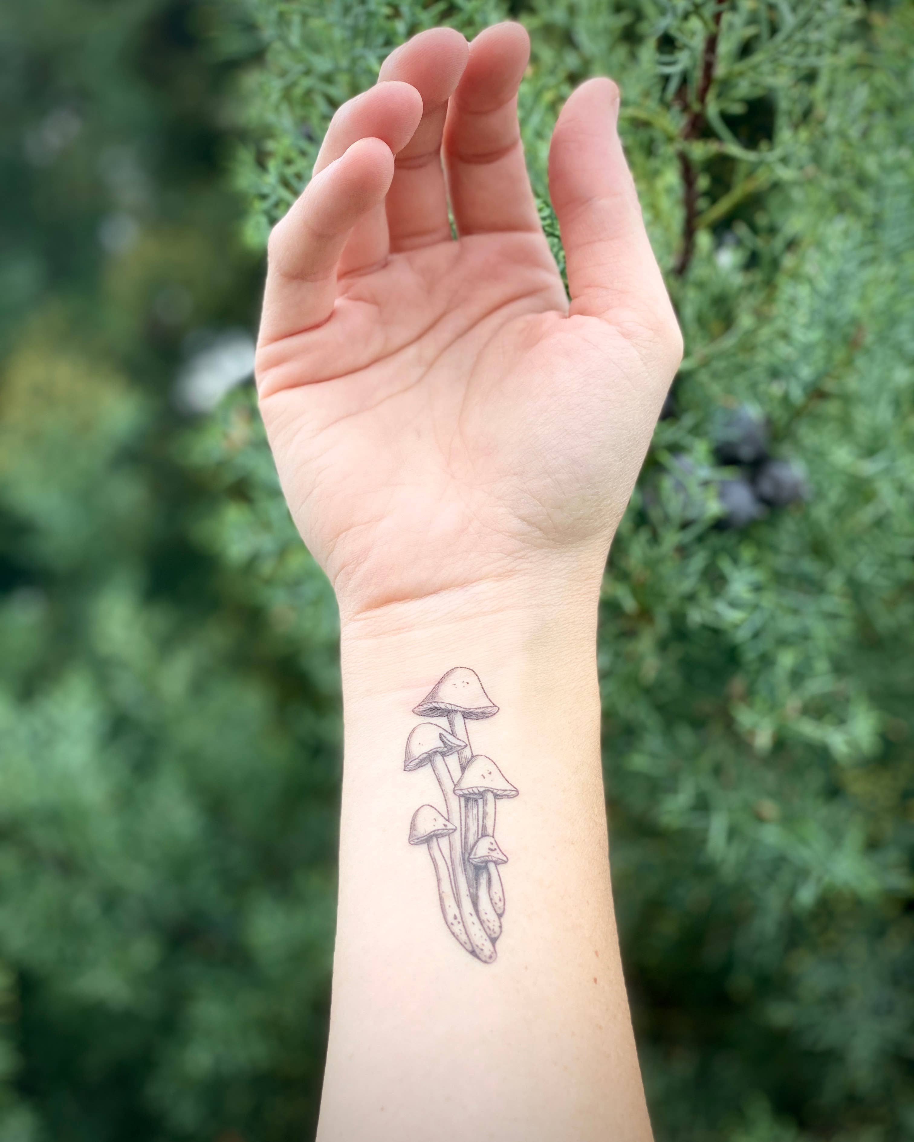 The Plant Social Moon Magic Temporary Tattoo available in Joshua Tree at JT Trading Post