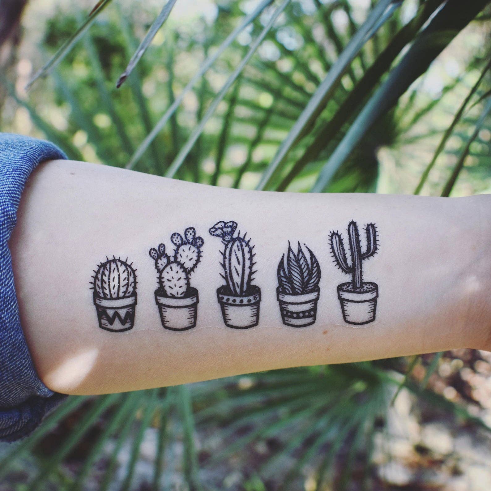 The Plant Social Potted Cactus Temporary Tattoo available in Joshua Tree at JT Trading Post