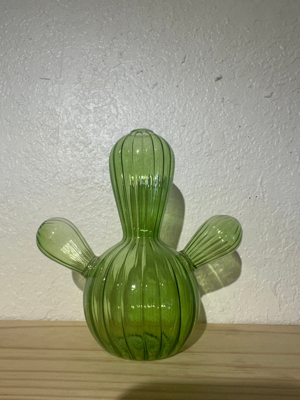 Cactus Propagation Vases