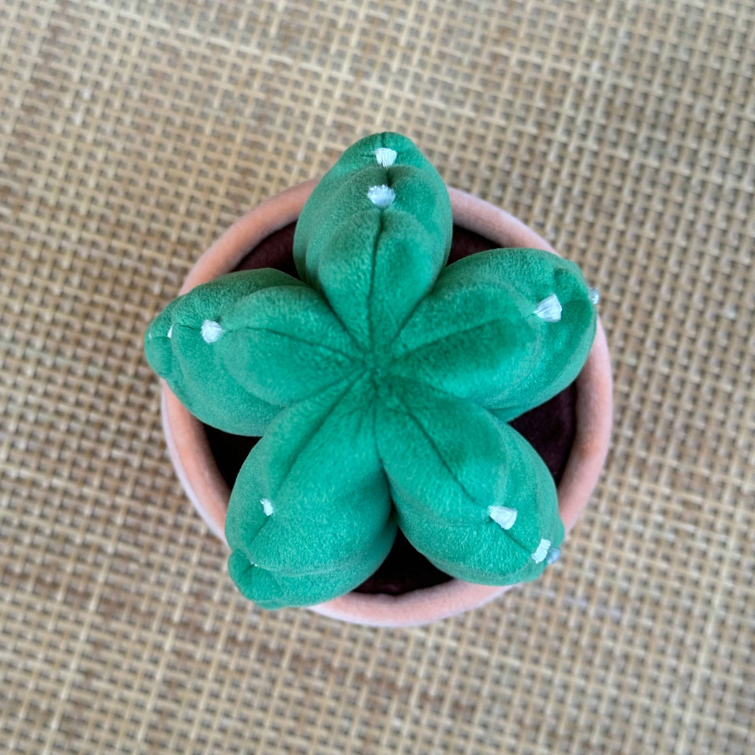 The Plant Social Cuddly Cactus Plushie available in Joshua Tree at JT Trading Post
