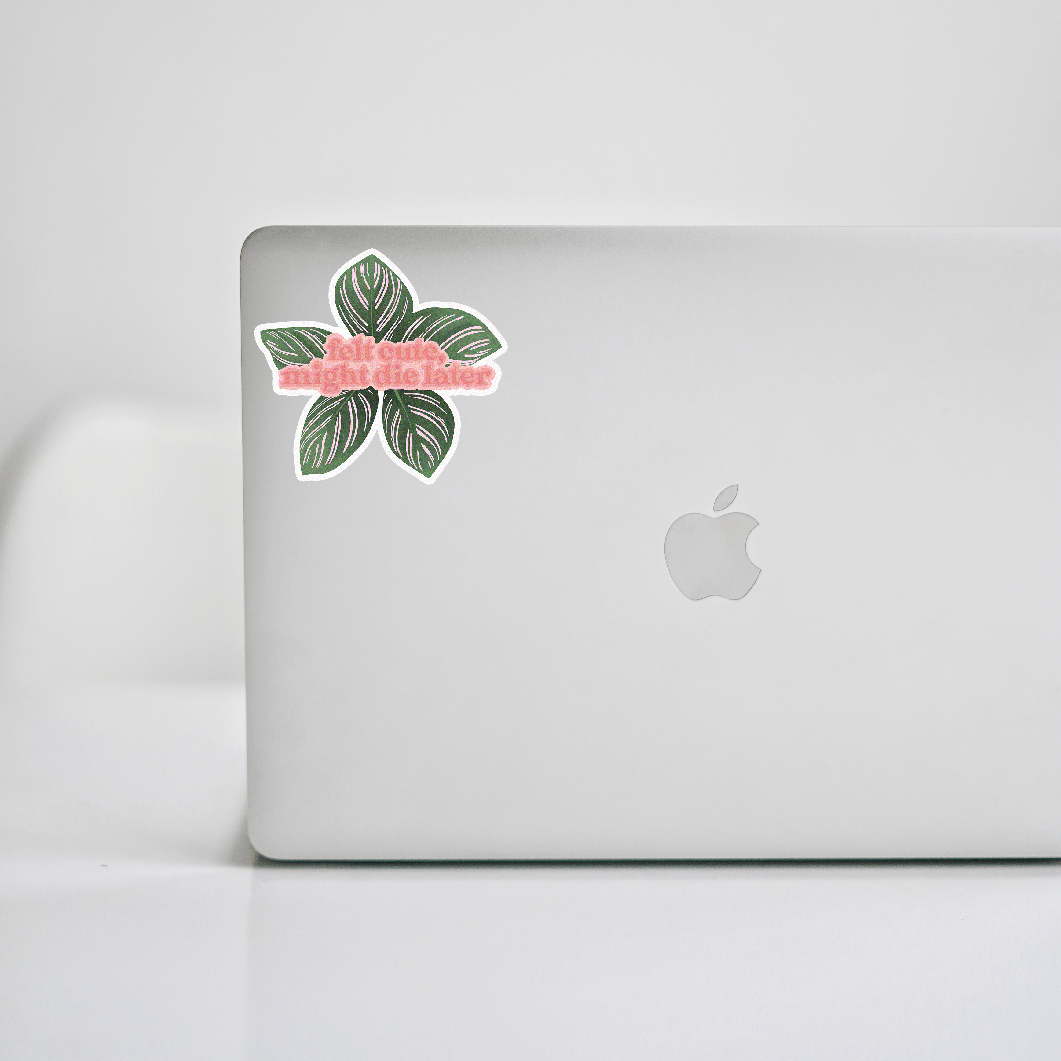 The Plant Social Felt Cute, Might Die Later Calathea Sticker available in Joshua Tree at JT Trading Post