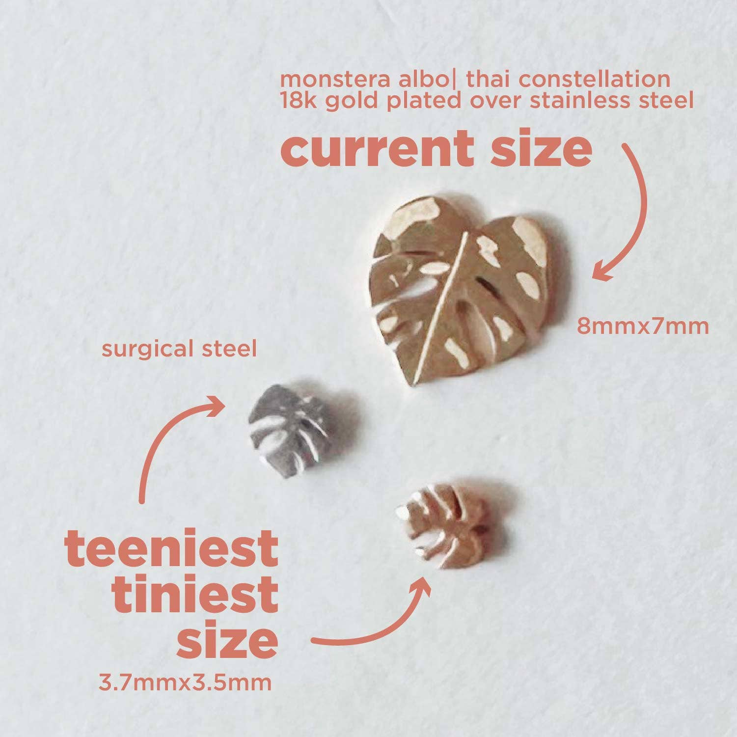 The Plant Social Flat Back Teeny Tiny Monstera Deliciosa Plant Studs available in Joshua Tree at JT Trading Post