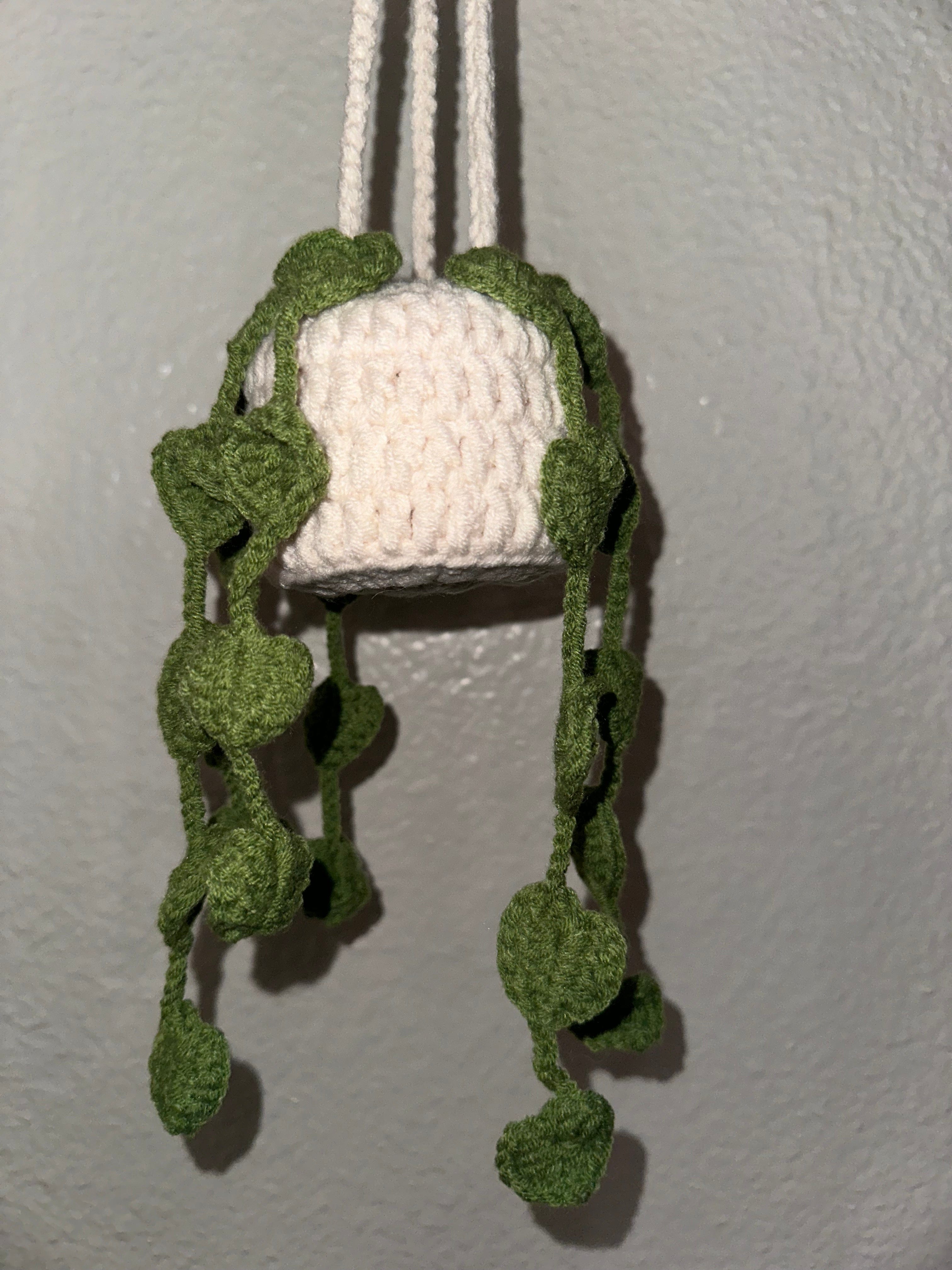 The Plant Social Crochet Hanging Plants available in Joshua Tree at JT Trading Post