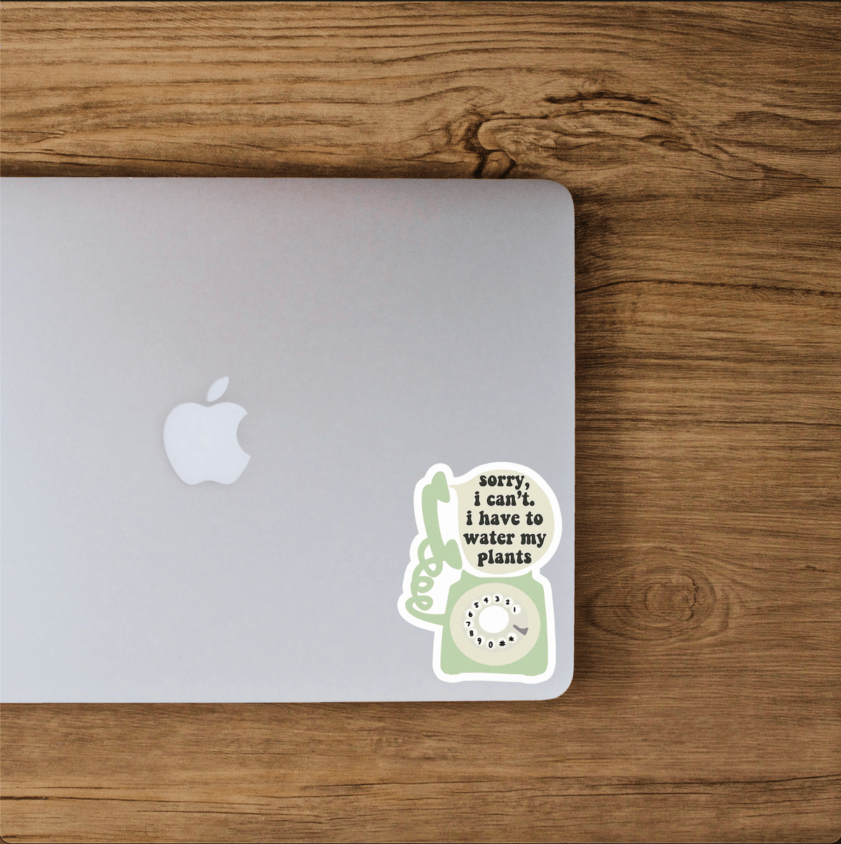 The Plant Social Solid Stickers available in Joshua Tree at JT Trading Post