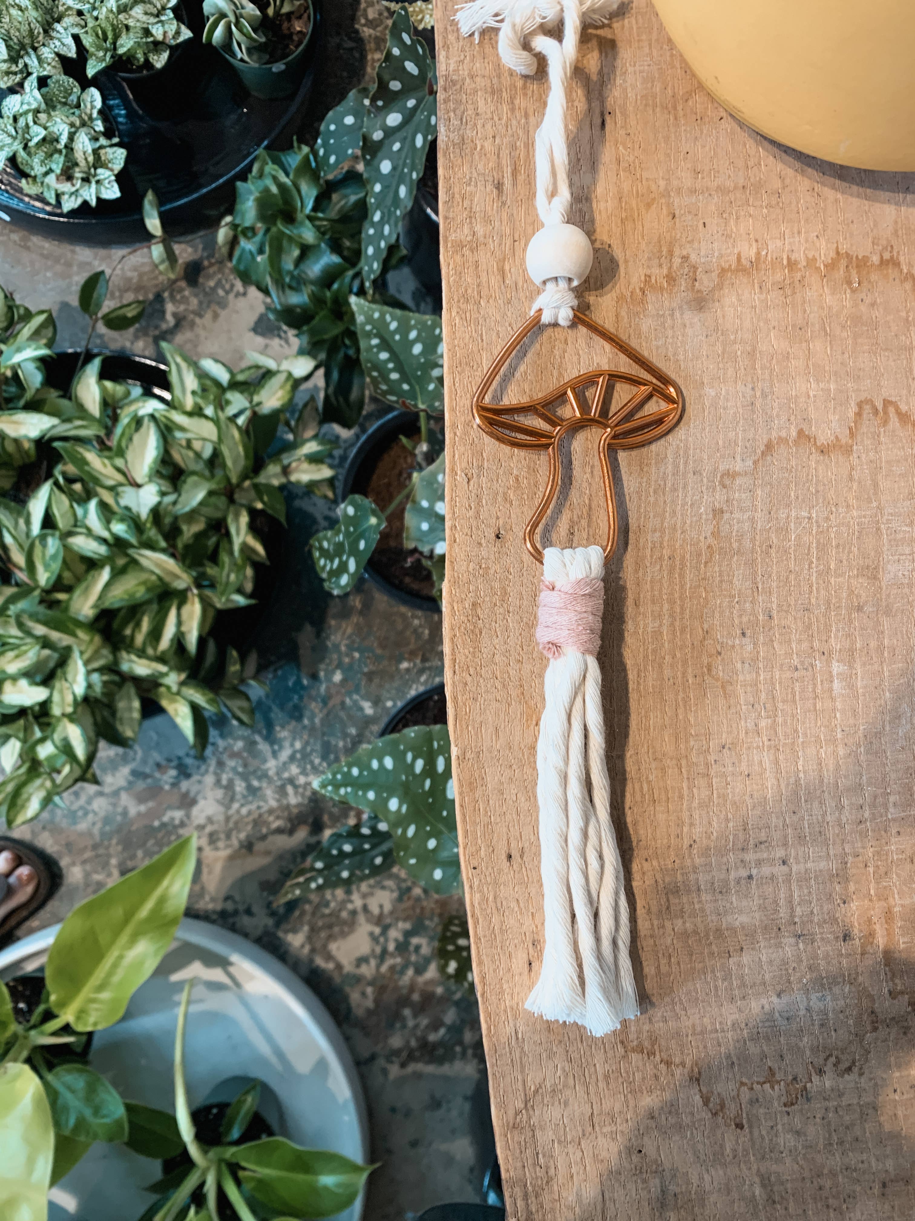 The Plant Social Mushroom Car Charm available in Joshua Tree at JT Trading Post