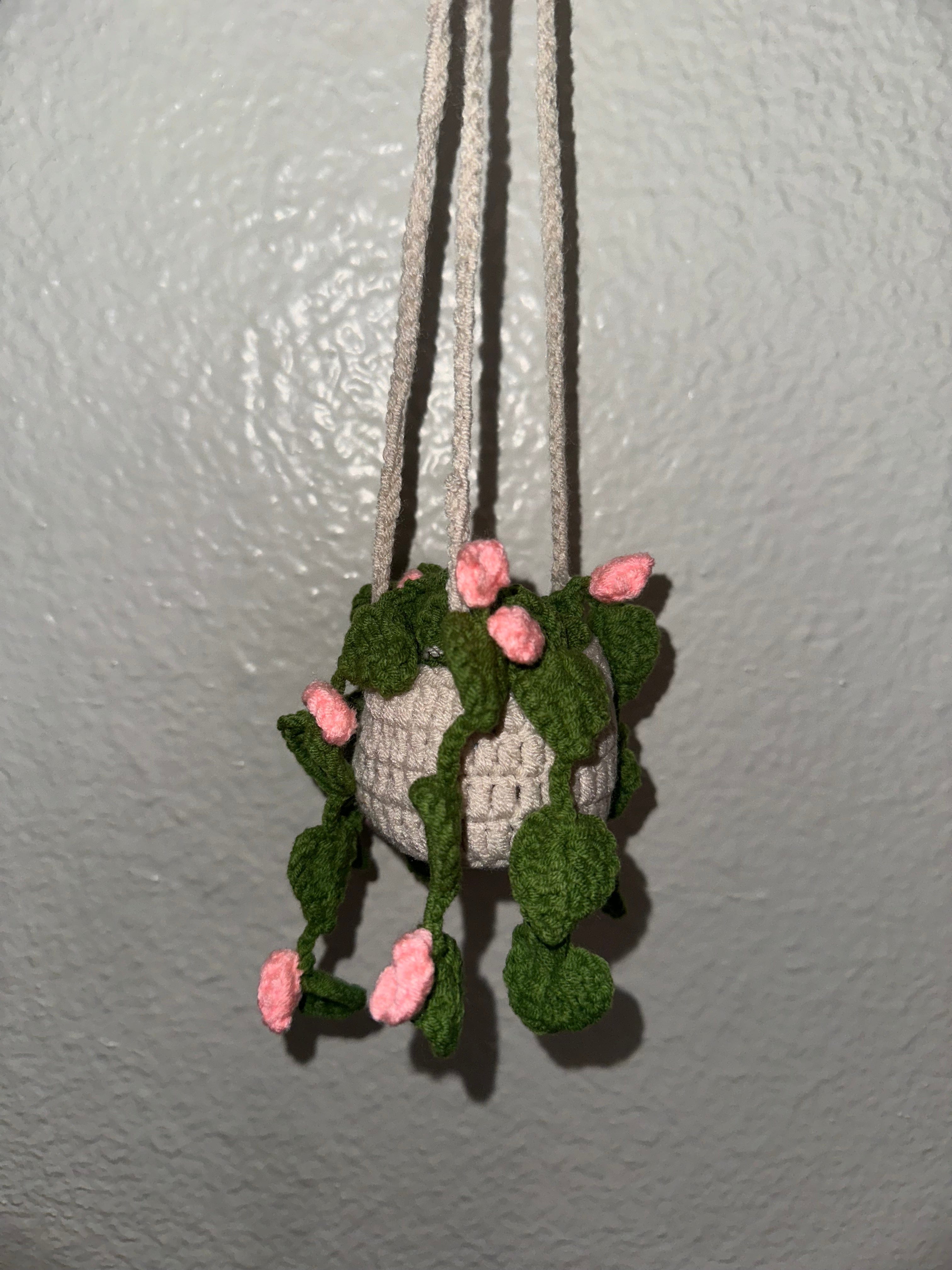 The Plant Social Crochet Hanging Plants available in Joshua Tree at JT Trading Post