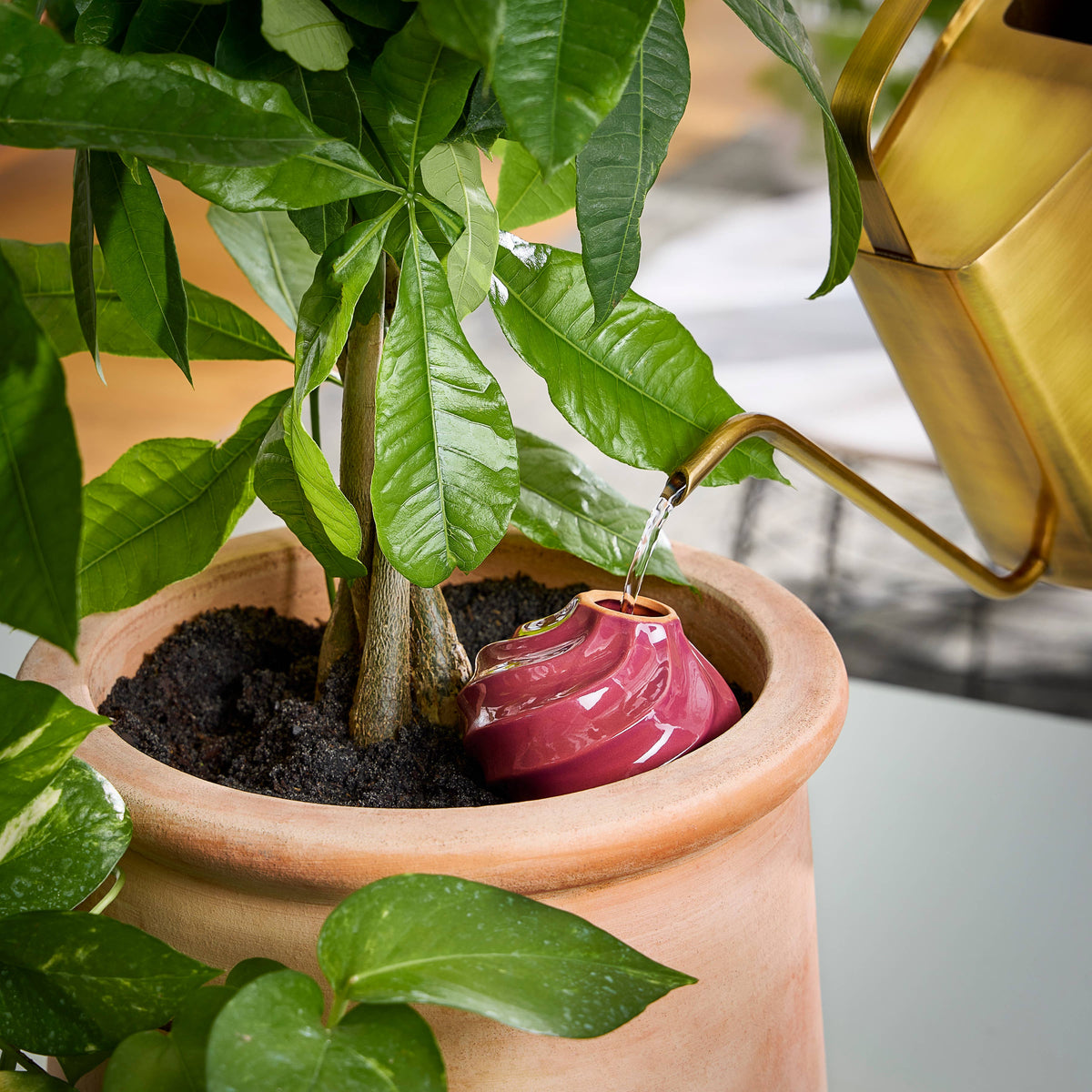 The Plant Social Terracotta Watering Bulb available in Joshua Tree at JT Trading Post