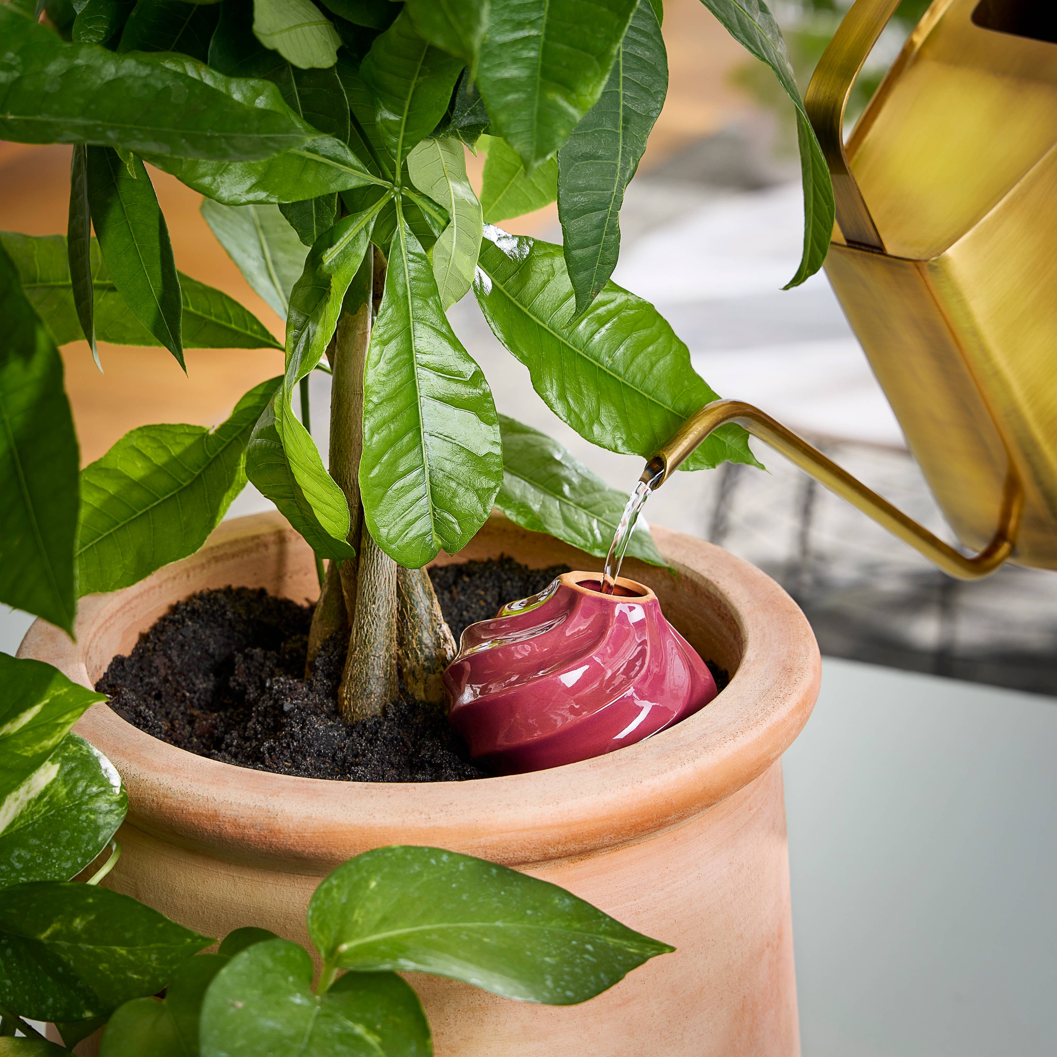 The Plant Social Terracotta Watering Bulb available in Joshua Tree at JT Trading Post