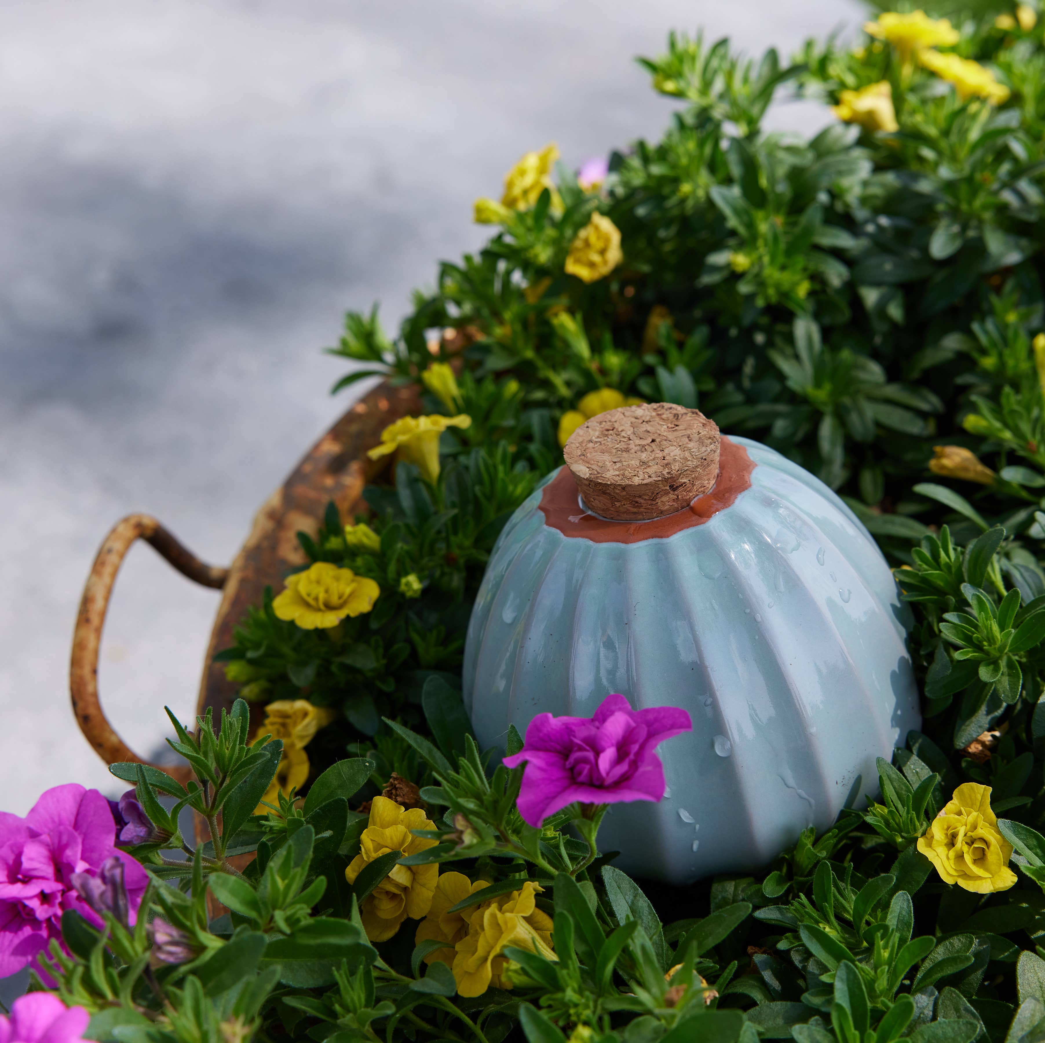 The Plant Social Terracotta Watering Bulb available in Joshua Tree at JT Trading Post