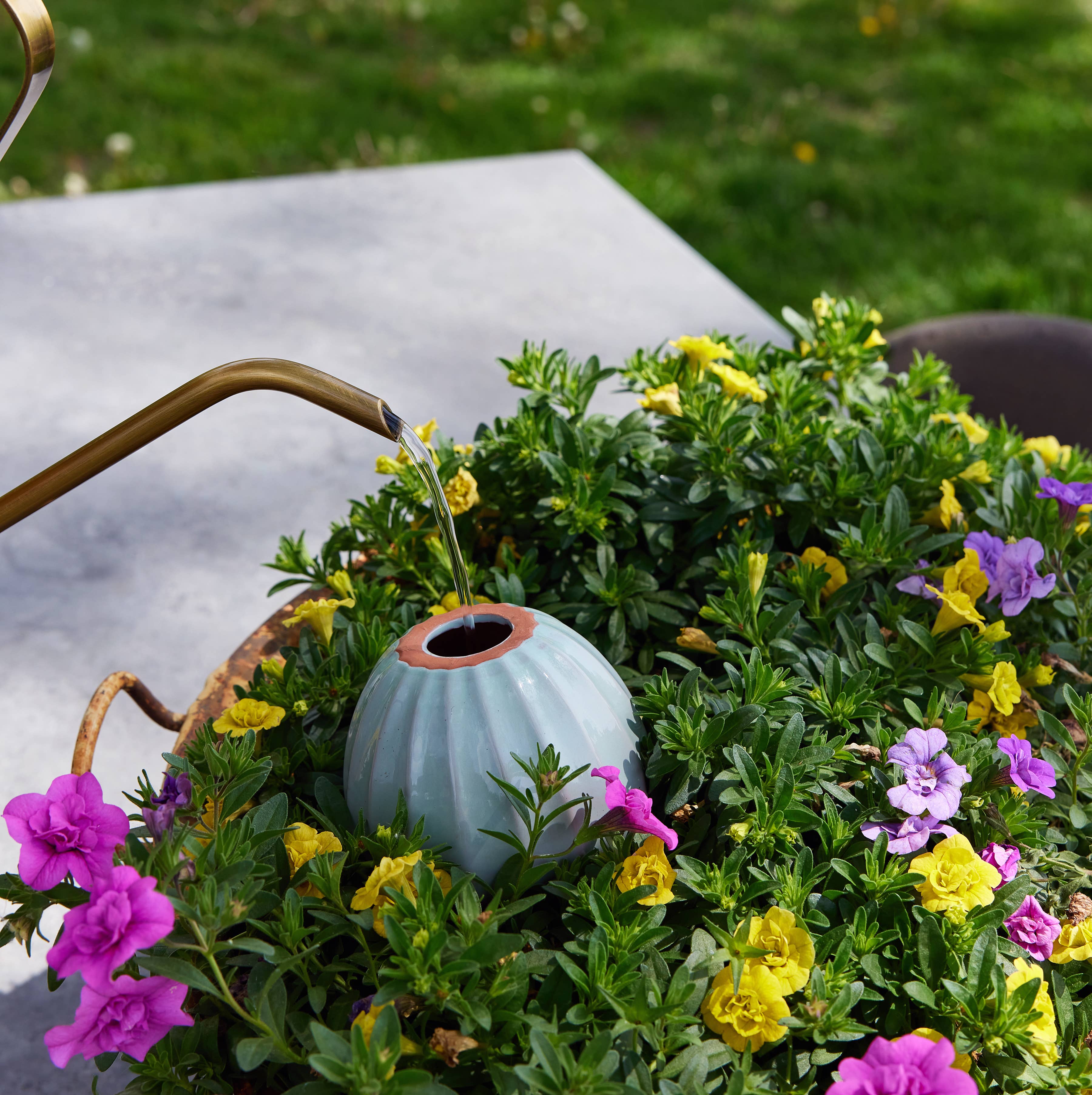 The Plant Social Terracotta Watering Bulb available in Joshua Tree at JT Trading Post
