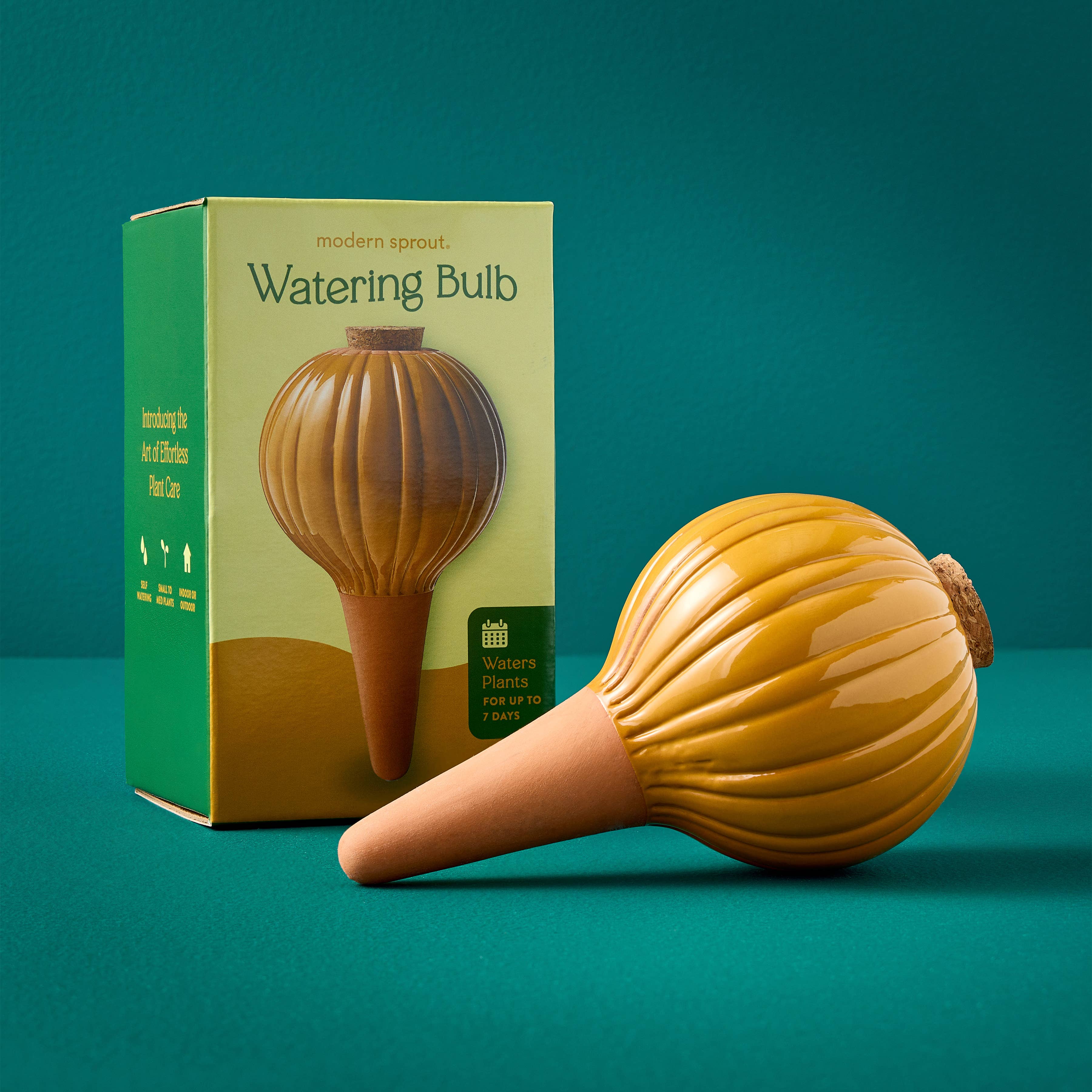 The Plant Social Terracotta Watering Bulb available in Joshua Tree at JT Trading Post
